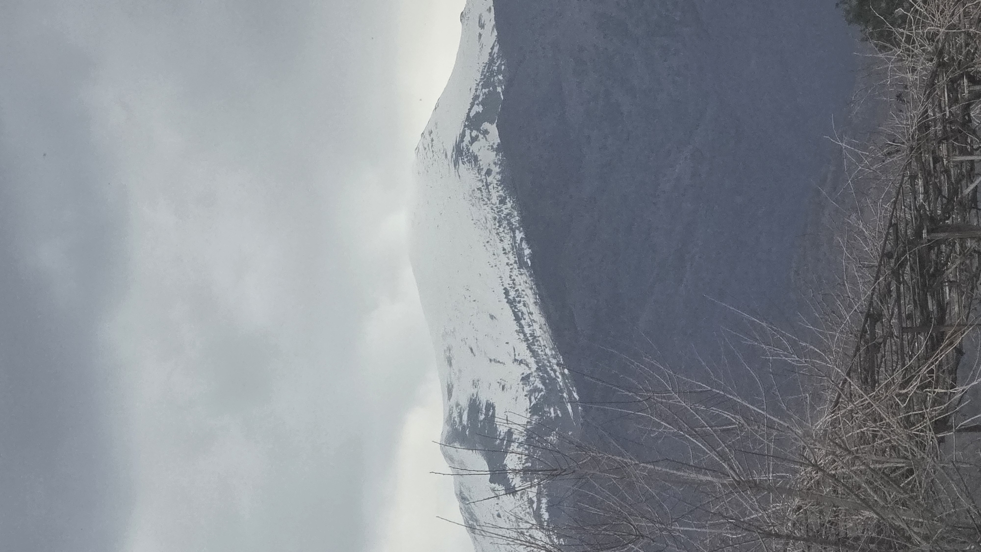 The image displays a snow-capped mountain under an overcast, grey sky, consistent with views from the city of Rila, Bulgaria. The mountain's upper third is covered in white snow, interspersed with darker patches indicating exposed rock or sparse vegetation. A distinct treeline of dense, dark forest occupies the mid-slope, transitioning into a deeper grey-blue forested base. In the foreground, on the left, a portion of a bare deciduous tree with numerous fine, leafless branches is visible. To the bottom right, a wooden pergola or trellis structure, devoid of foliage, extends across the lower edge of the frame. No individuals or specific actions are depicted.