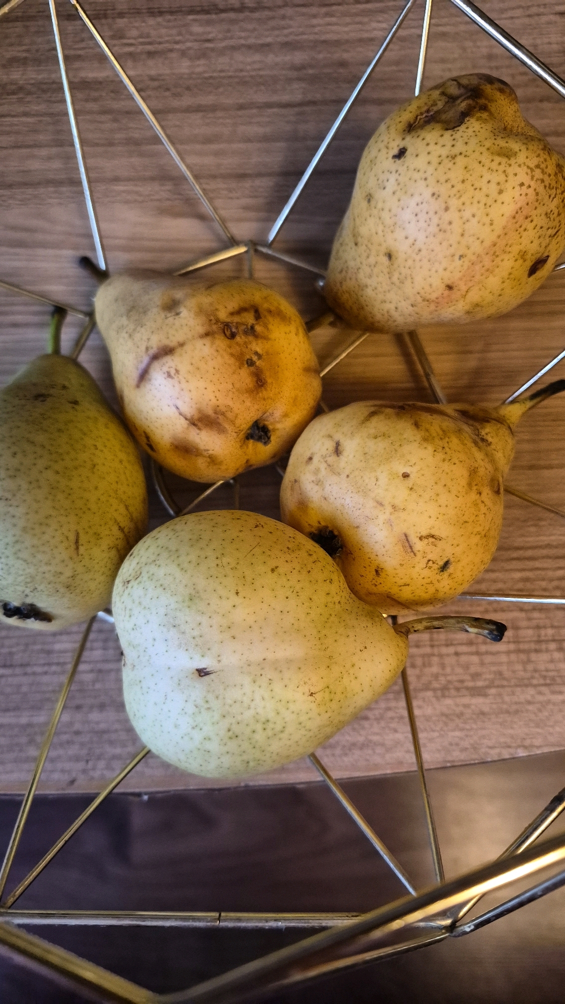 A close-up, top-down view captures five pears arranged in a wire fruit basket. The pears vary in color from pale green to yellow and brown, with some exhibiting brown spots. They are positioned on a wooden surface, and the wire basket's geometric structure is visible. The lighting is overhead, casting subtle shadows and highlighting the texture of the pears and the wood grain. The scene is devoid of any human presence or activity. The location is not specified in the image or its context.