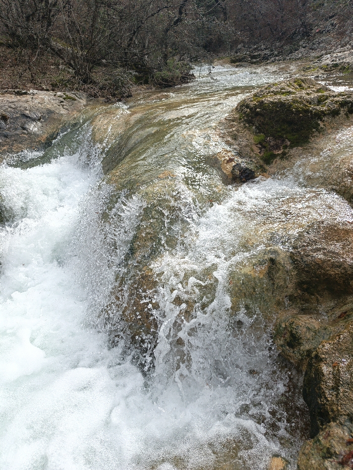 The image displays a natural outdoor scene of a cascading stream or river located in Орлиновский округ, Ukraine. The foreground and midground are dominated by clear, rapidly flowing water forming rapids and a small waterfall, characterized by white foam and turbulent spray as it descends over and around numerous irregular rocks. These rocks, varying in size and hue from light brown to darker grey, exhibit patches of green moss in areas not submerged by the most forceful currents. Upstream, the water flows over a rocky bed, reflecting light and displaying greenish-brown undertones. The background consists of a dense, uncultivated forest margin composed primarily of bare deciduous trees and some evergreen shrubbery, indicating a late winter or early spring season. The ground visible beneath the vegetation is covered with dark soil and leaf litter. No individuals, animals, or artificial structures are present in the frame.