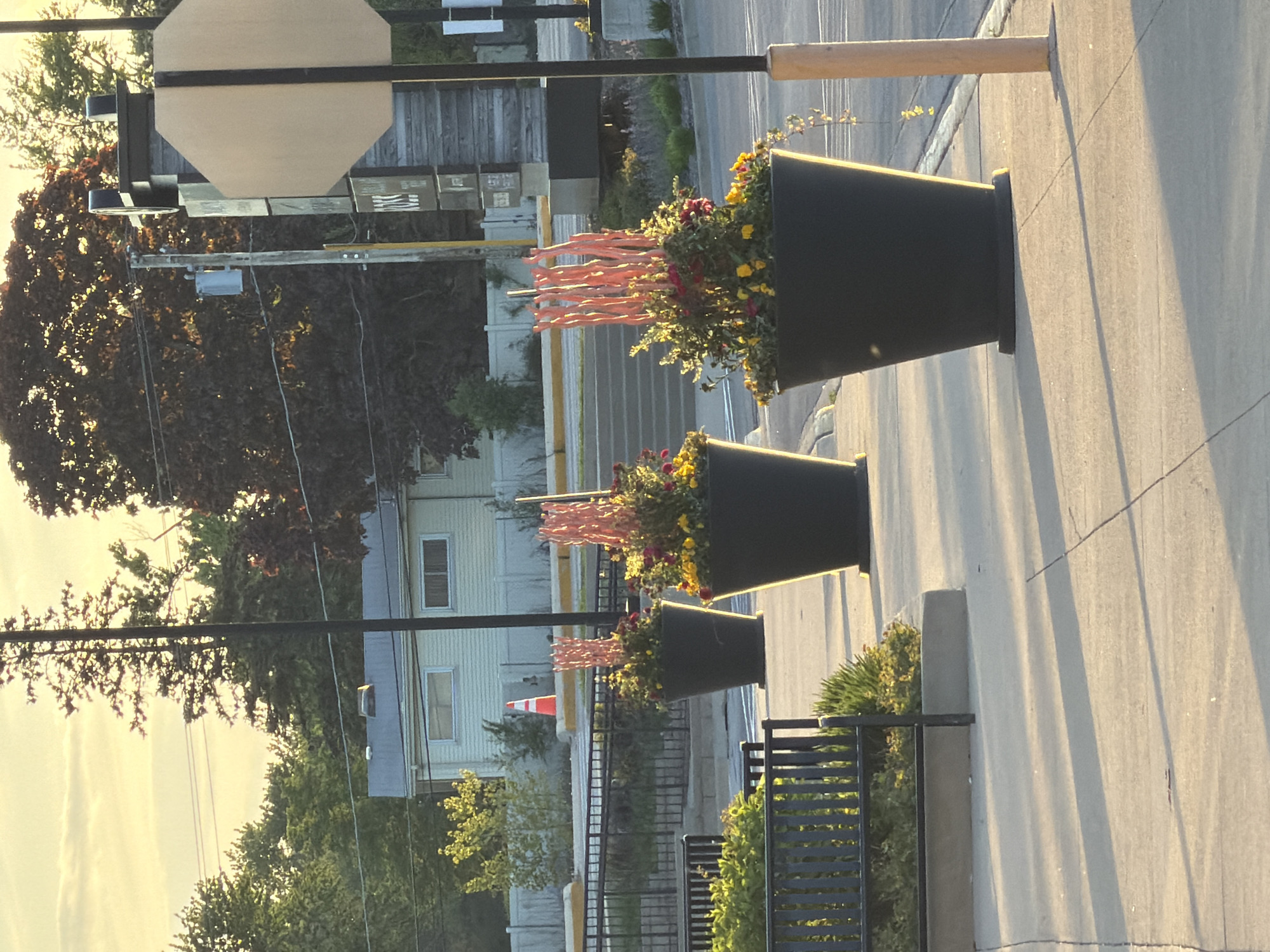 A street scene in Morton Grove, Illinois, United States, shows a sidewalk lined with black planters filled with flowers and orange streamers. The planters decrease in size from foreground to background. The sidewalk abuts a light-colored building. In the background, there is a house with white siding and visible windows. A utility pole with a sign is present to the left. Trees and greenery are scattered throughout the background. The scene is bathed in warm, late-afternoon light, casting long shadows along the sidewalk. A black metal railing is visible in the lower right. An orange cone is located on the street in the middle ground.