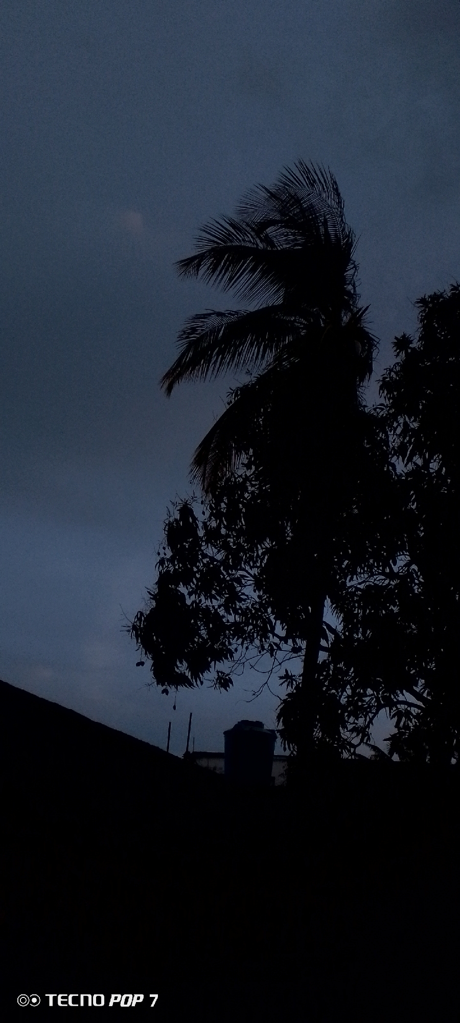 A low-angle nighttime image features silhouetted trees against a dark, overcast sky. The foreground is obscured by darkness, but the silhouettes of a building, a water tank, and antennae are visible. A tall palm tree dominates the left side of the scene, its fronds blown by the wind. The photo was taken in Altagracia, Venezuela. The words "TECNO POP 7" are visible in the bottom left corner of the frame. No people are visible.
