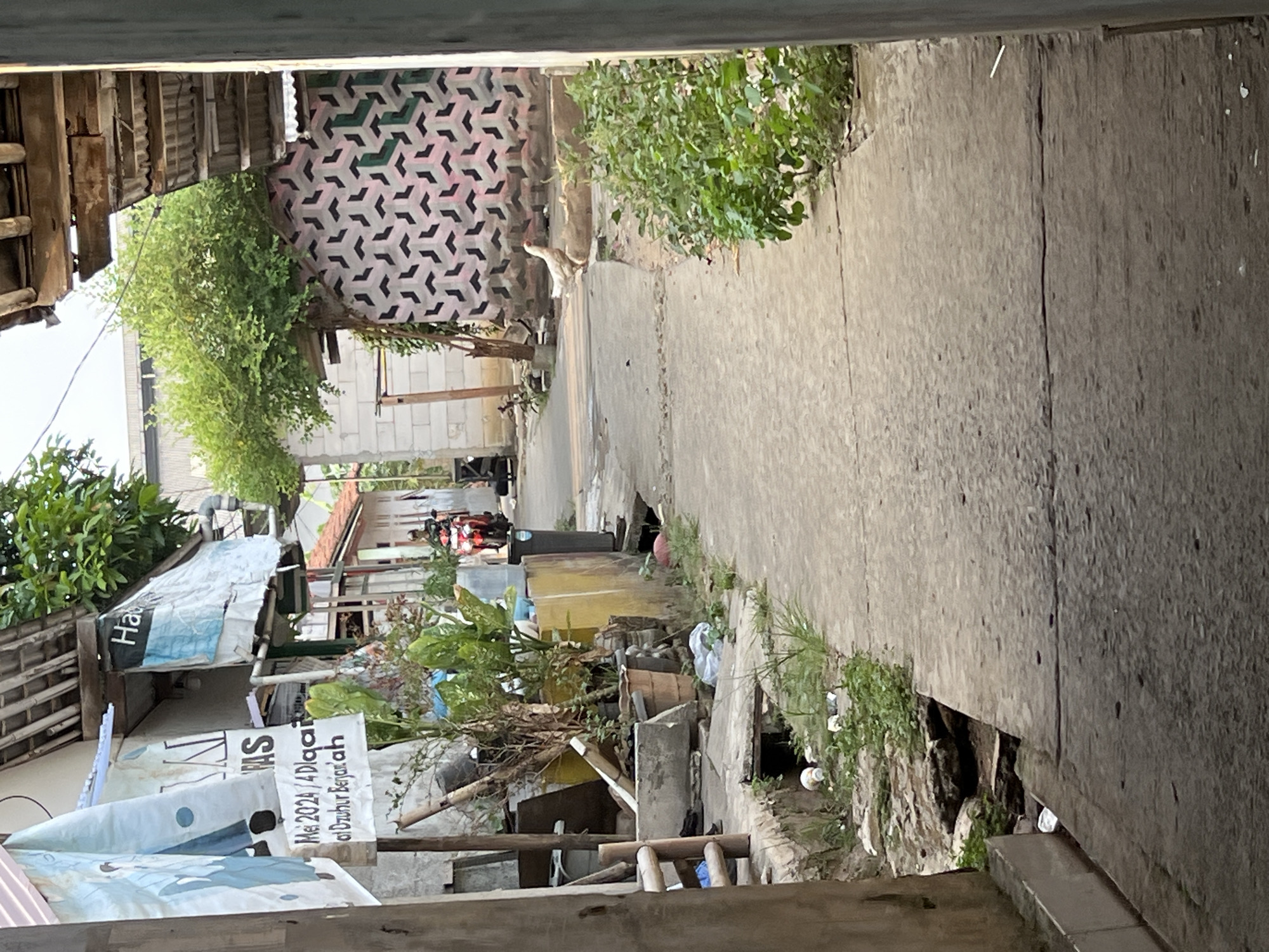 A narrow, paved alleyway runs through a residential area, likely in Gunung Putri, Indonesia. On the left, a white banner hangs from a building, displaying text and images. Adjacent to the banner, various potted plants and discarded items are visible. A person rides a red motorcycle down the alleyway from the distance. On the right side of the alley, a wall is decorated with a repeating geometric pattern of pink and gray shapes, and a white chicken stands on the ground. Green foliage grows along the right edge of the alley. The pathway shows signs of wear and tear, with cracks and debris.