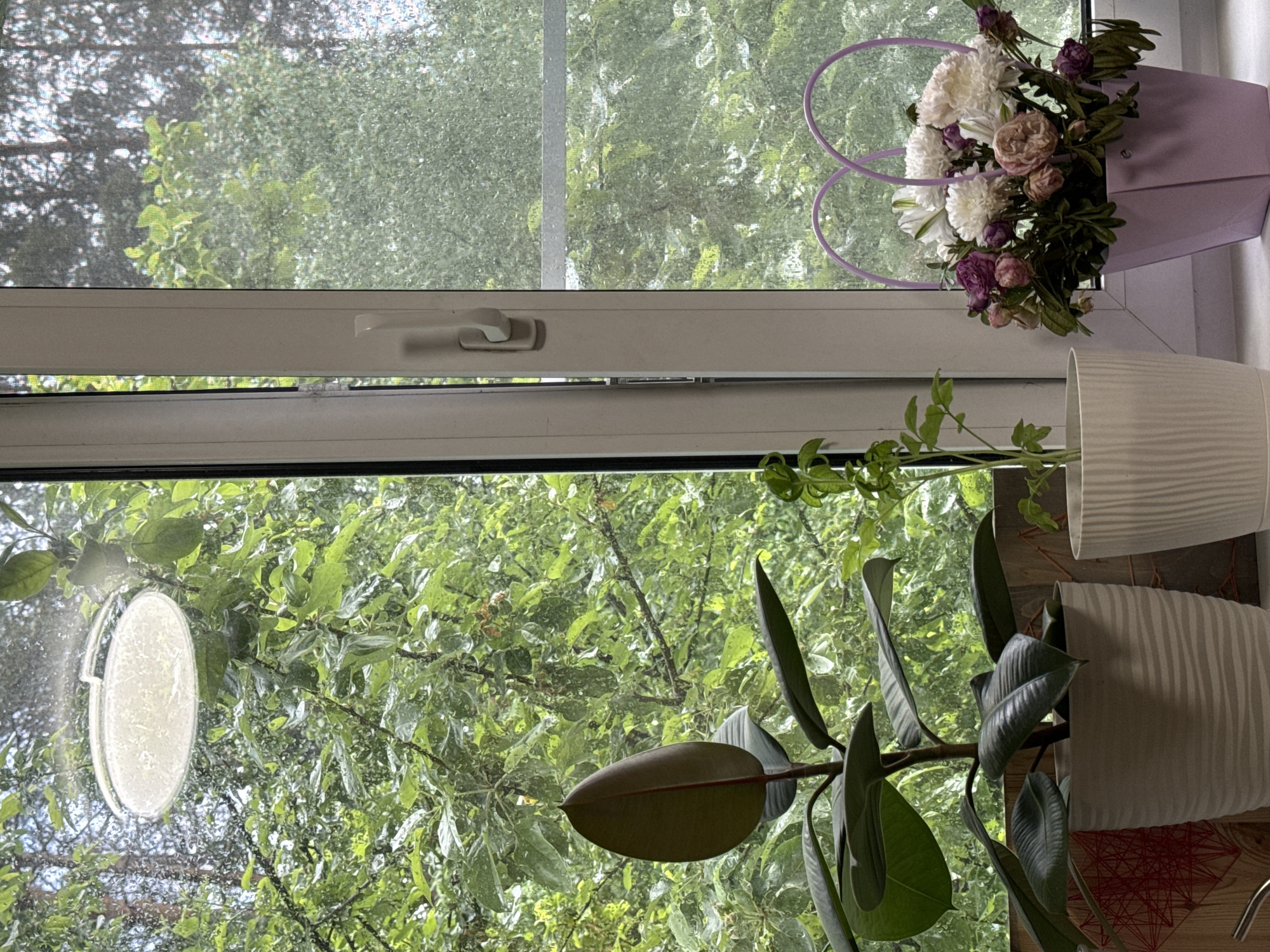 The image presents a vertical view from inside a home looking out through a closed window during what appears to be a rainy or recently rained-on day in Chaikovsky, Russia. The window frame is white and includes a light-colored handle on the left side, suggesting a modern double-paned window. Water droplets are visible on the window glass, covering both the upper and lower panes.
Inside, on the windowsill and a surface below, are several potted plants and a floral arrangement. To the right, a bouquet of artificial or dried flowers, predominantly white, cream, and purple, is placed in a light purple, rectangular bag with heart-shaped handles. Below this, a slender green plant with small leaves is visible, possibly in a ribbed, light-colored pot.
To the left, a larger houseplant with broad, dark green, glossy leaves (resembling a Ficus Elastica) sits in a similar ribbed, light-colored pot. A small piece of red geometric string art is partially visible on the wooden surface next to this plant. A circular, translucent mark or sticker is present on the lower window pane.
Outside the window, a dense canopy of lush green trees and foliage is visible, with individual leaves appearing wet. The light is diffused, suggesting an overcast daytime sky. No human activity or visible text is present in the scene, which conveys a tranquil domestic atmosphere observing nature's elements from indoors.