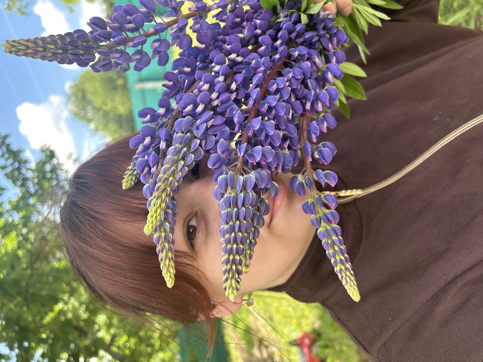 A woman is holding a bouquet of purple lupine flowers in front of her face. She is wearing a brown shirt and a silver chain. The background includes a green field, trees, and a blue sky with white clouds. The location is not specified in the image.
