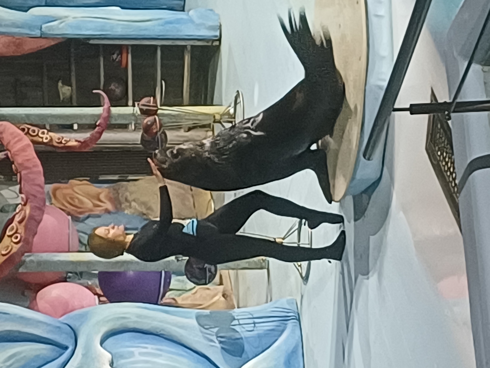 In a performance space with a backdrop resembling a fantasy underwater scene, a woman in a black full-body suit and black socks stands on the left, interacting with a dark-furred seal positioned on a circular platform. The woman's left hand rests on the seal's head. The seal is in a resting pose, with its body angled towards the right. The backdrop features large, soft blue curtains or structures on the left, pink spheres, and what appear to be pink tentacles extending from the top. To the right of the seal, a shelf unit is visible with various objects on its shelves. The flooring is a light, smooth surface. There is no indication of Novosibirsk, Russia, in the image.