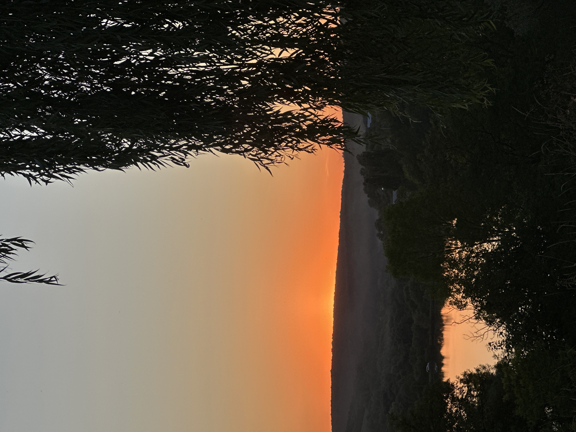 The image depicts a sunset over a landscape that includes rolling hills covered in trees, a body of water reflecting the sunset's colors, and a large tree with drooping branches in the foreground on the right. The sky transitions from a light grey at the top to a vibrant orange near the horizon. The body of water is dark and shows reflections of the orange sky and surrounding dark foliage. A hint of human settlement is visible on the far side of the water, with a few structures present. The overall atmosphere is serene and natural. The specific location is identified as Makiv, Ukraine.