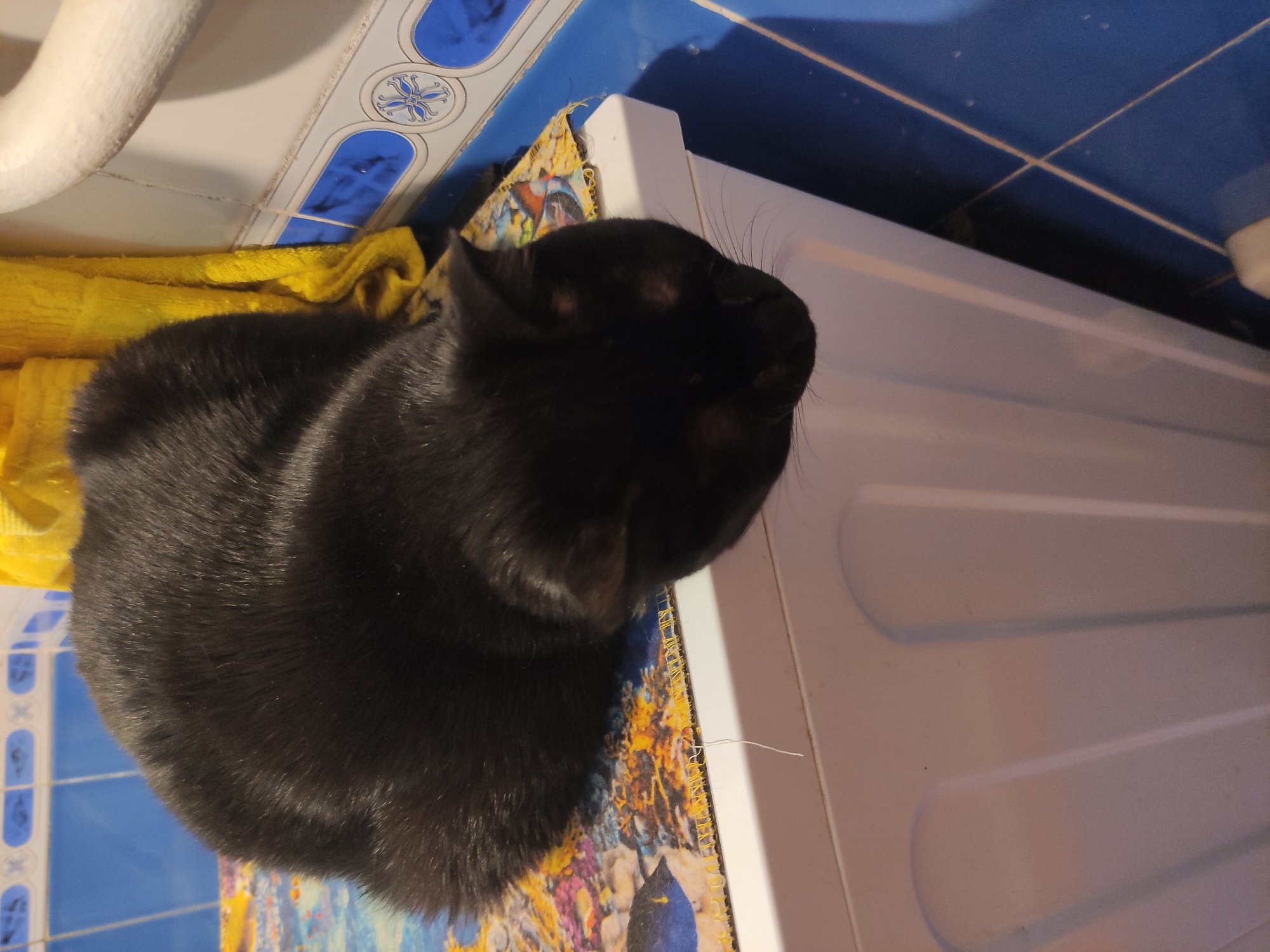 A black cat is lying on top of a white washing machine. The washing machine is located in a bathroom or laundry room in Pavlodar, Kazakhstan, as indicated by the blue and white tiled walls and flooring. The cat is resting on a colorful fabric covering the machine. A yellow towel is partially visible near the cat. The washing machine is next to a wall covered in the same blue and white tiles. A white pipe is partially visible above.