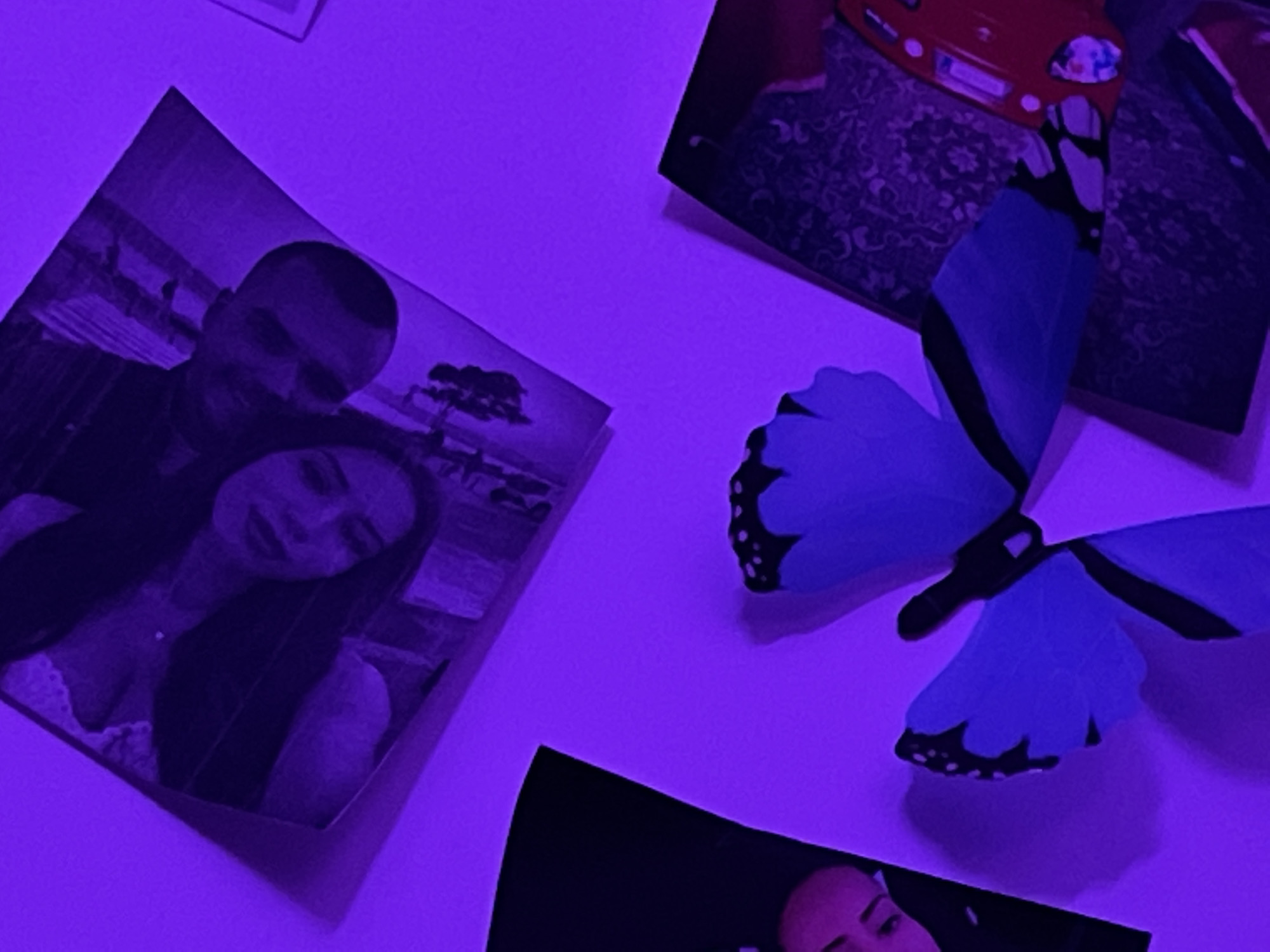 In the city of Totleben, Bulgaria, a dimly lit room, illuminated by a purple light, displays several items. A photograph, with a purple hue, shows a couple posing. The man has a shaved head and is wearing a dark shirt. The woman next to him has dark hair and is smiling. To the right, a portion of another photograph is visible, showing what appears to be a red car parked on a patterned rug. A large, blue butterfly decoration is affixed to the wall, its wings spread open. Below the butterfly, another dark photograph is partially visible, revealing a person's face with pinkish skin. The scene appears to be a personal living space, possibly a bedroom or a decorative wall display.