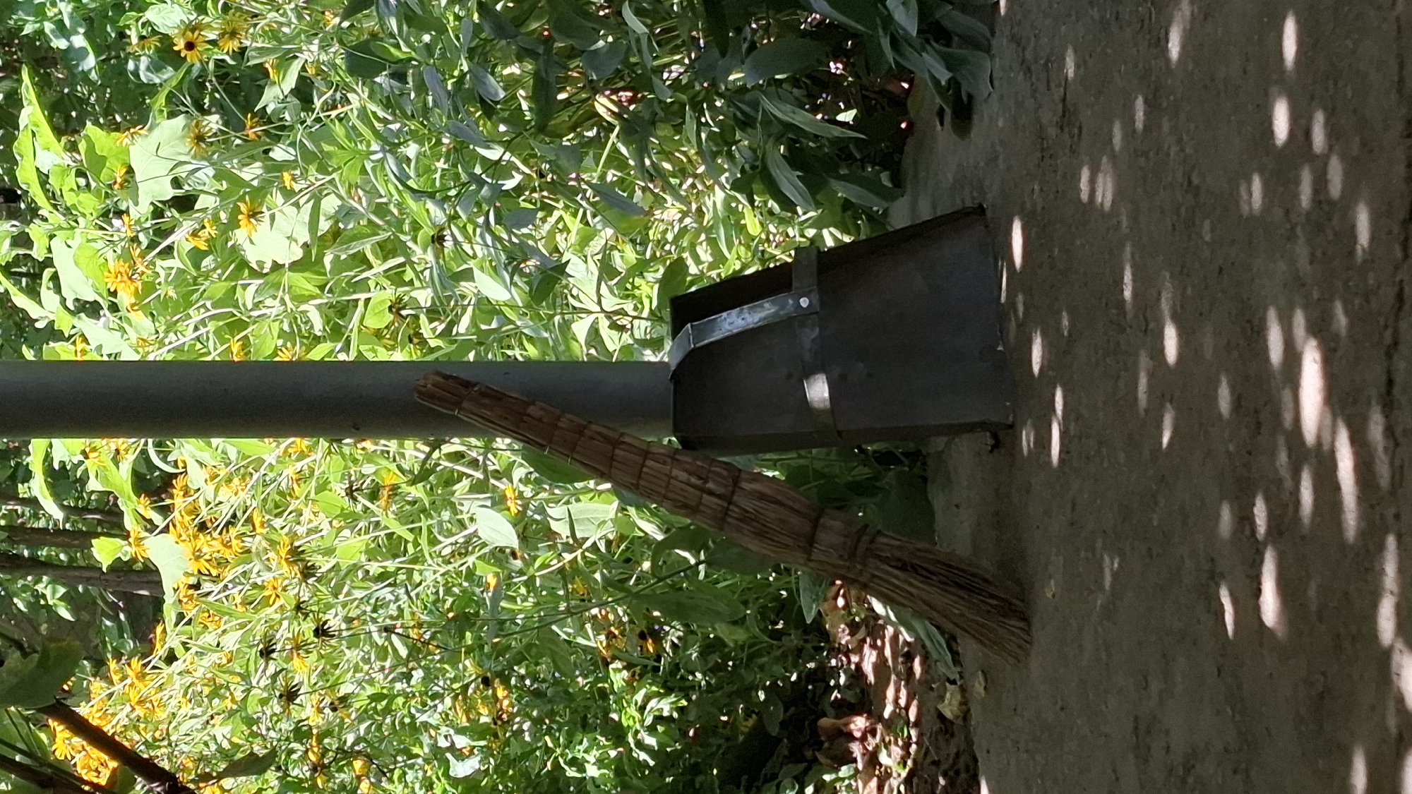 A broom and dustpan are positioned next to a metal pole in a garden. The broom has a thatched head and a wooden handle, and it leans against the pole. The dustpan is made of metal and has a wide opening. Behind them, there is a dense arrangement of green foliage with yellow flowers. The ground in front of the objects is a concrete surface dappled with sunlight and shadows. The scene appears to be outdoors in a park or residential garden setting.