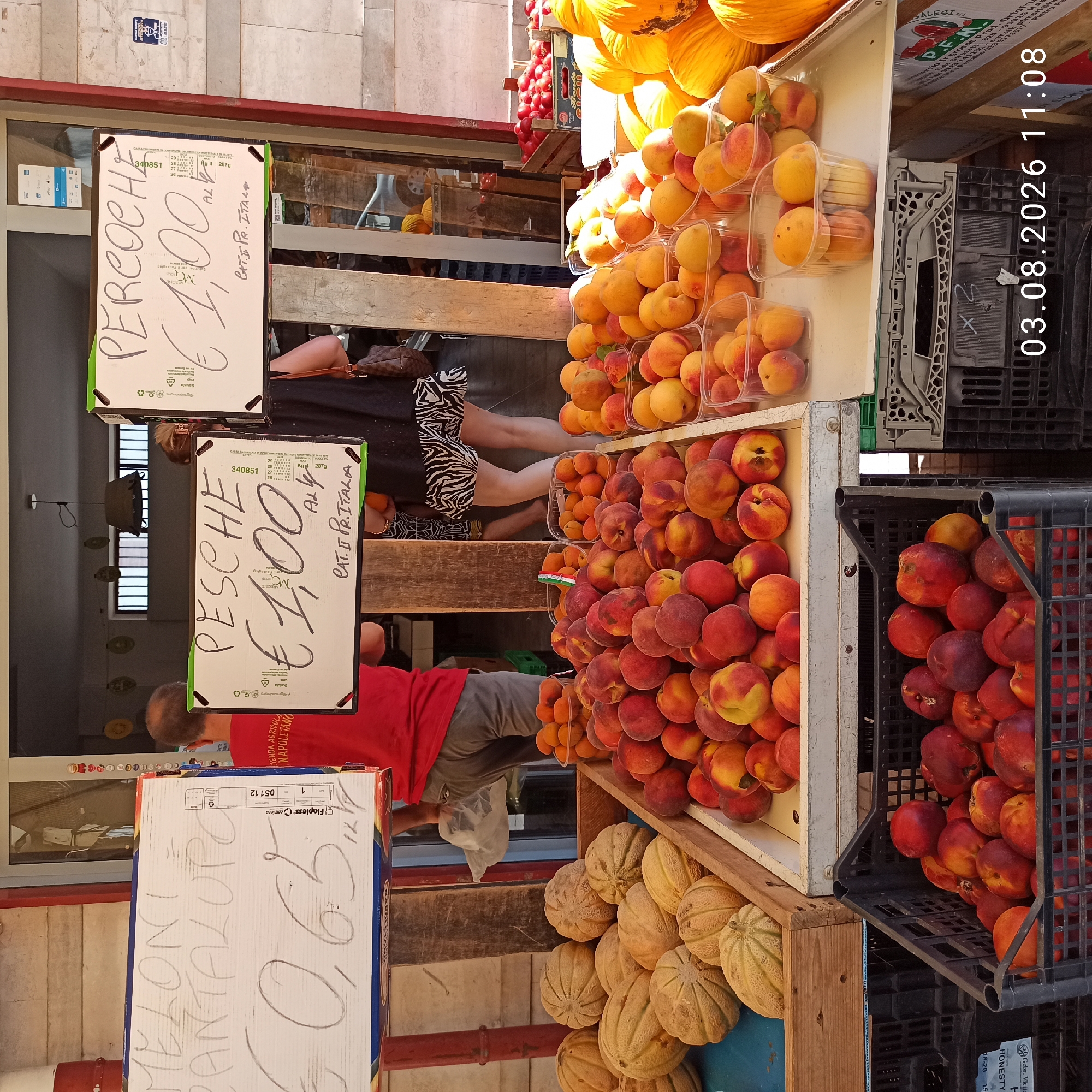 A market stall in Ruvo di Puglia, Italy, displays a variety of fruits for sale. Three signs are prominently visible, handwritten in black marker on white cardboard boxes. The leftmost sign advertises "MELONI PANTALUPO" priced at "€ 0,65" per kilogram. The middle sign reads "PESCHE" with a price of "€ 1,00" per kilogram. The rightmost sign, partially obscured, shows "PERCOCHE" with a price of "€ 1,00" per kilogram.
Beneath the signs, the fruits are arranged in wooden crates and plastic containers. Melons, identified as "PANTALUPO," are stacked in a wooden crate on a blue surface. Next to them, a white crate is filled with peaches and nectarines. Another crate, made of black plastic, contains a pile of dark red peaches or nectarines. Smaller plastic containers hold apricots and more peaches. In the background, a person wearing a red t-shirt and grey pants is visible, holding a plastic bag. Another individual, wearing a black top and a zebra-print skirt, stands near the fruit displays. The market appears to be outdoors, with a wooden structure and a tiled wall visible in the background. The lighting suggests it is daytime. The timestamp "03.08.2026 11:08" is overlaid on the bottom right of the image.