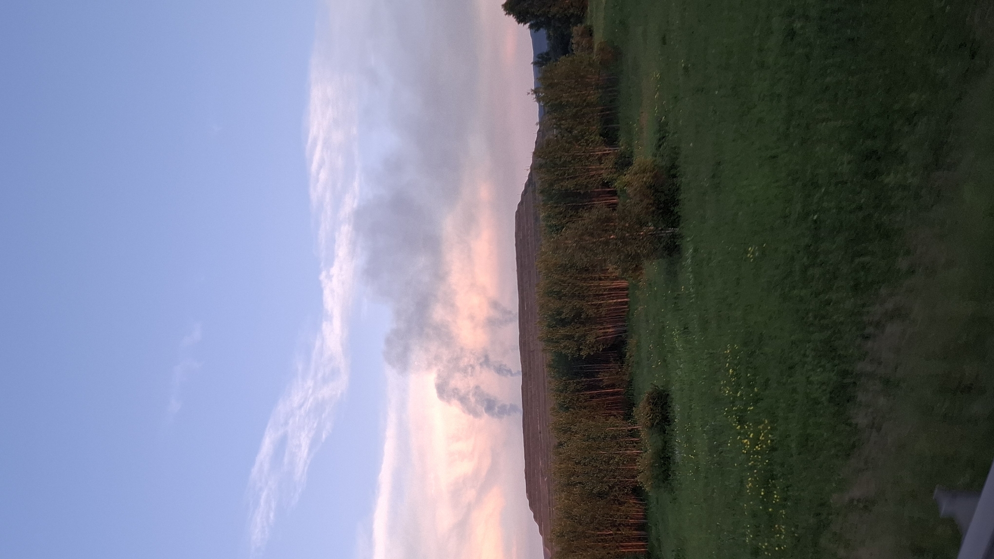 The image depicts a rural landscape under a dusky sky, with the sun setting or rising and casting a soft, colorful glow. The scene is dominated by a sloping hill covered in a dense forest of deciduous trees, their foliage a mixture of green and autumnal hues. The ground leading up to the trees is a verdant meadow dotted with small yellow wildflowers.
The sky transitions from a soft blue on the left to streaks of pink and orange clouds on the right, suggesting the twilight hour. Wisps of dark smoke rise from behind the trees on the left side of the image, indicating a potential controlled burn or a distant fire. The overall atmosphere is serene and natural, with a touch of mystery due to the smoke.
The perspective is from a slightly elevated viewpoint, possibly from a road or a higher point of land, looking across the meadow and up the forested slope. The image is oriented vertically, with the sky occupying the left half and the land the right half. No people or man-made objects are clearly visible, emphasizing the natural setting. The lighting suggests either early morning or late evening, with the light being soft and diffused. The location context of Mazul'skiy, Russia, suggests a temperate climate where such autumnal colors and potential controlled burns might be common.
