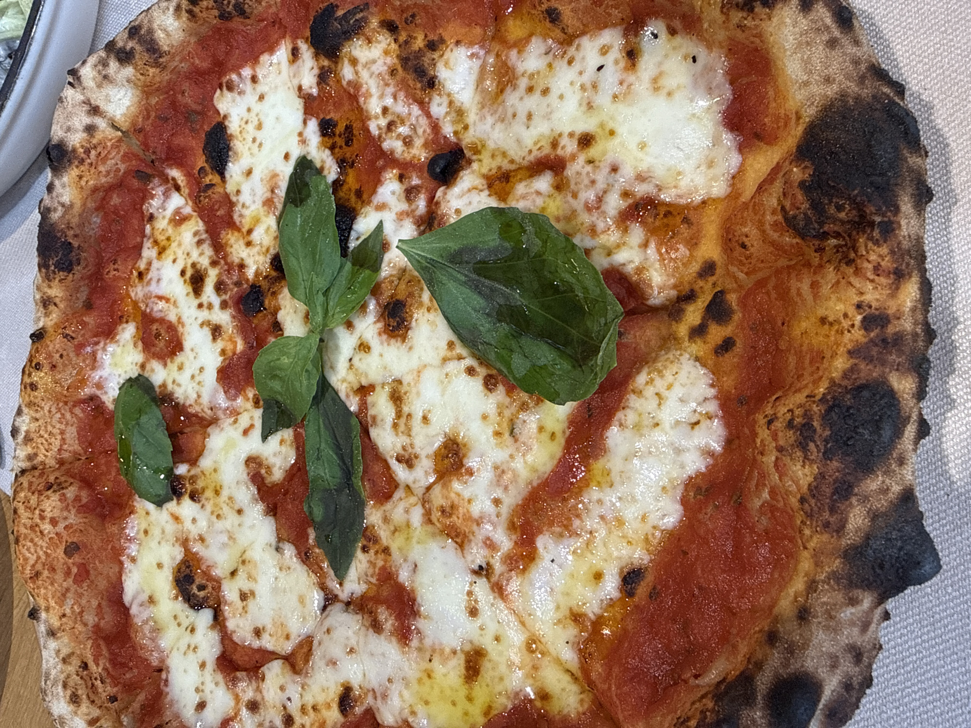 The image depicts a Margherita pizza. The pizza features a thin crust with charred spots and a generous topping of tomato sauce and mozzarella cheese. A few fresh basil leaves are placed on top. The pizza appears to be sliced into several pieces, suggesting it's ready to be eaten. The background shows a neutral-colored surface. There is no indication of the location being Dobrich, Bulgaria, or any people, actions, or interactions in the image.