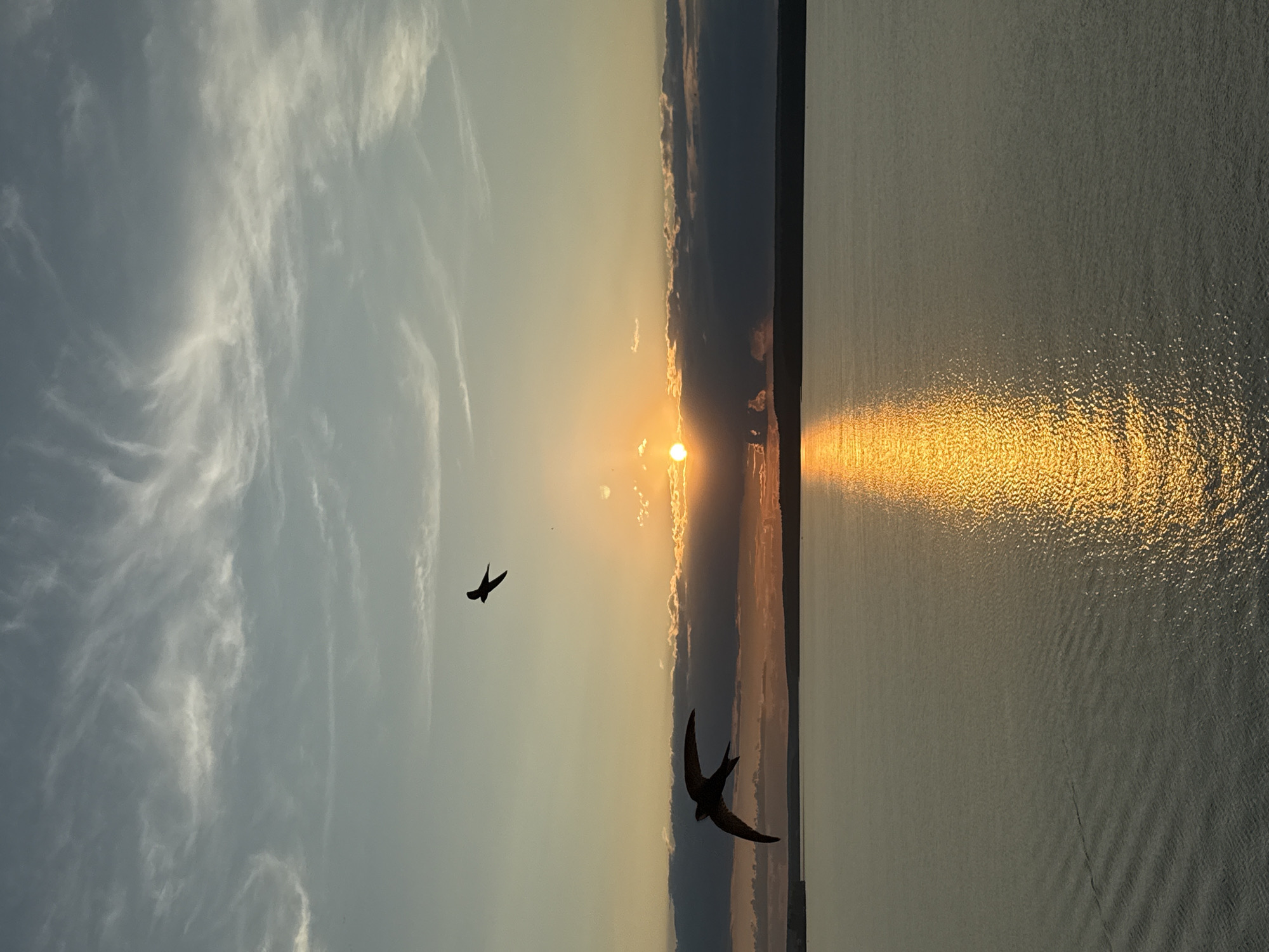 Two silhouettes of birds are in flight against a sunset sky over a body of water. The sun is low on the horizon, partially obscured by dark clouds, casting a golden reflection on the water's surface. The sky is a gradient of pale yellow and blue, with wispy white clouds. The water is calm, with gentle ripples. The foreground bird is large and in the lower left corner, with its wings spread. The second bird is smaller and further away, in the upper center of the image. The location is Votkinsk, Russia.