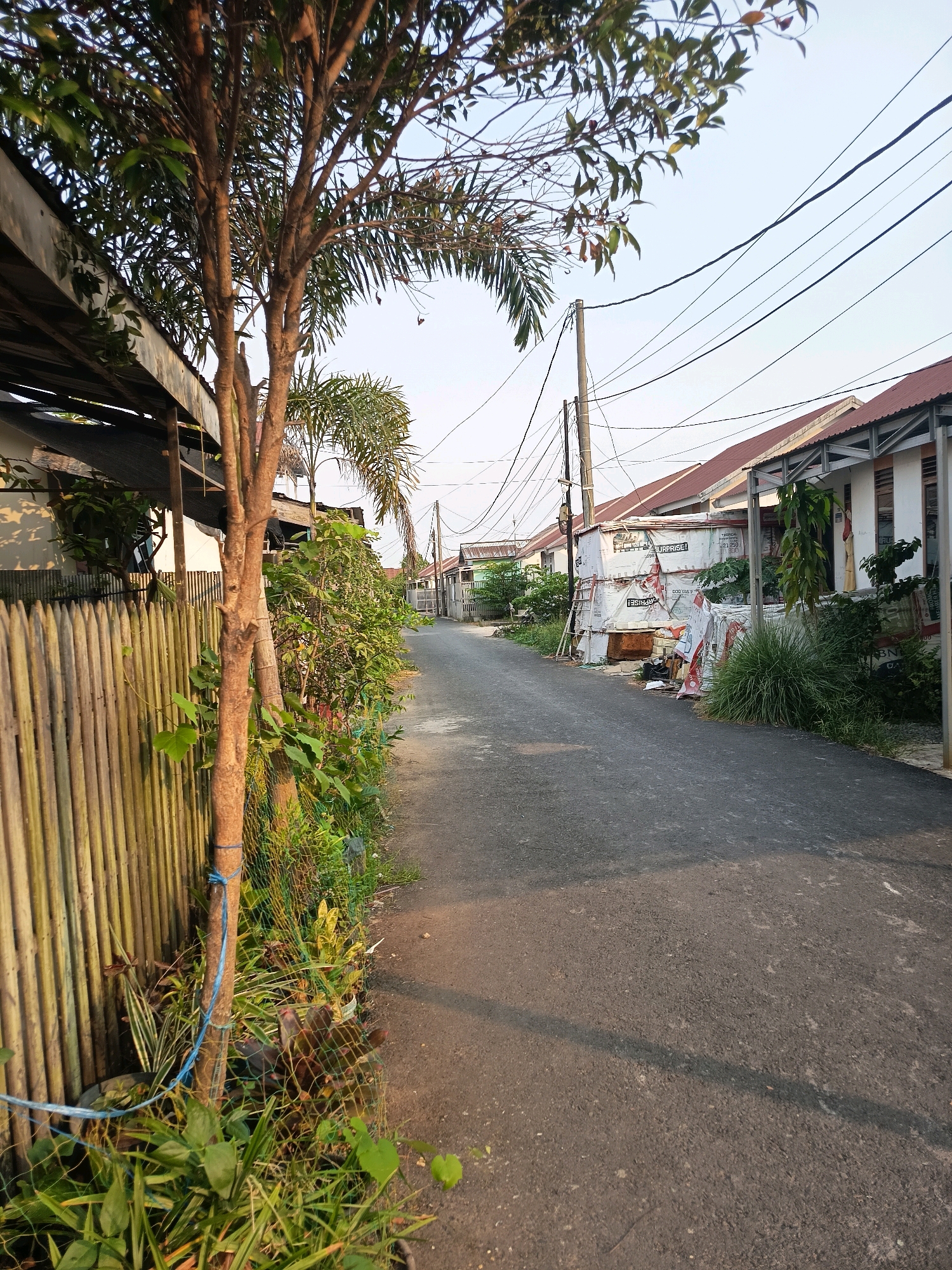 The image depicts a residential street in Banjarmasin, Indonesia, likely a neighborhood with modest housing. The perspective is from a low angle, looking down a paved road. On the left side of the street, a wooden fence, possibly made of bamboo, lines the property. Behind the fence, a variety of green foliage, including trees and smaller plants, is visible. A young tree with a brown trunk stands in the foreground, tied with a blue string to the fence.
On the right side of the street, a row of houses with red tile roofs and white walls can be seen. The houses appear to be single-story structures. In front of one of the houses, a pile of what looks like building materials, wrapped in white plastic sheeting with visible text, is stacked. Power lines and utility poles are prominent in the background, stretching across the sky. The lighting suggests it is either early morning or late afternoon, with the sun casting shadows on the road. The overall environment is that of a quiet, everyday street in a tropical urban setting. There are no people visible in the image.