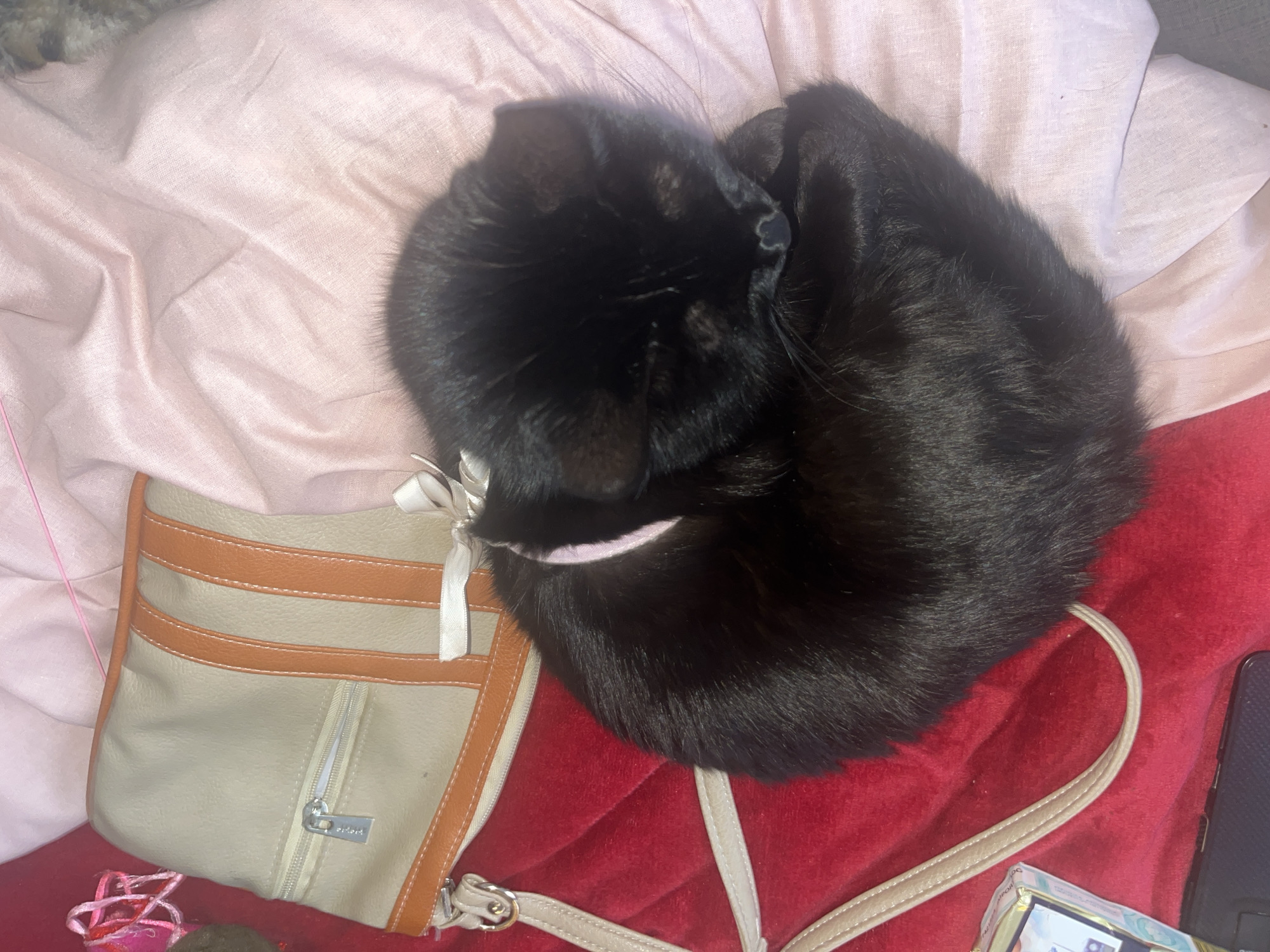 A black cat is curled up on a red and pink surface next to a beige purse with brown trim. The cat is wearing a light pink collar. The red surface appears to be a quilted fabric. A portion of a black mobile phone is visible in the lower right corner. There is a pink string and some small objects next to the purse. The location is unknown.