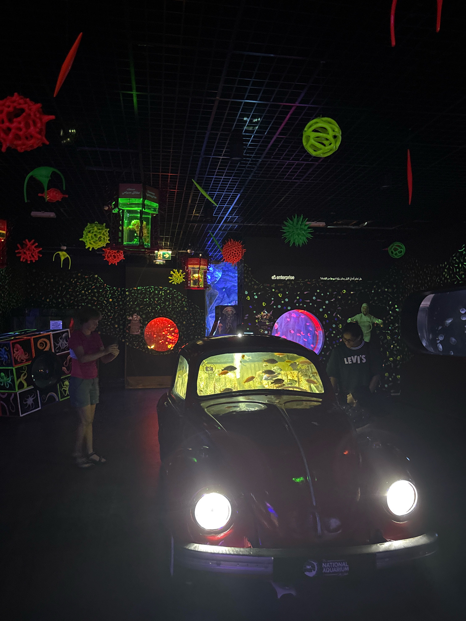 This image was taken at the National Aquarium in Abu Dhabi, United Arab Emirates. The scene is dark, illuminated by colorful neon lights and the headlights of a vintage Volkswagen Beetle. The Beetle has been converted into an aquarium, with fish swimming inside the windshield area.
In the foreground, the front of the black Volkswagen Beetle is visible, its headlights on and casting a bright light. A logo for the "National Aquarium" is on the front bumper. To the left of the car, a person wearing a pink shirt and blue shorts stands looking at a display. To the right of the car, a person wearing a Levi's sweatshirt stands near the aquarium.
The background of the aquarium features a black ceiling grid with various neon-colored, three-dimensional objects hanging down, resembling viruses or microscopic organisms. These include red spiked spheres, green spherical objects, and red rod-like shapes. There are also glowing displays and tanks with aquatic life, including a large circular display with red lights and what appear to be glowing jellyfish. A wall in the background is decorated with a mural of small, colorful dots on a black background, with some larger, glowing shapes. Arabic text is visible on a sign in the upper right quadrant of the image.
