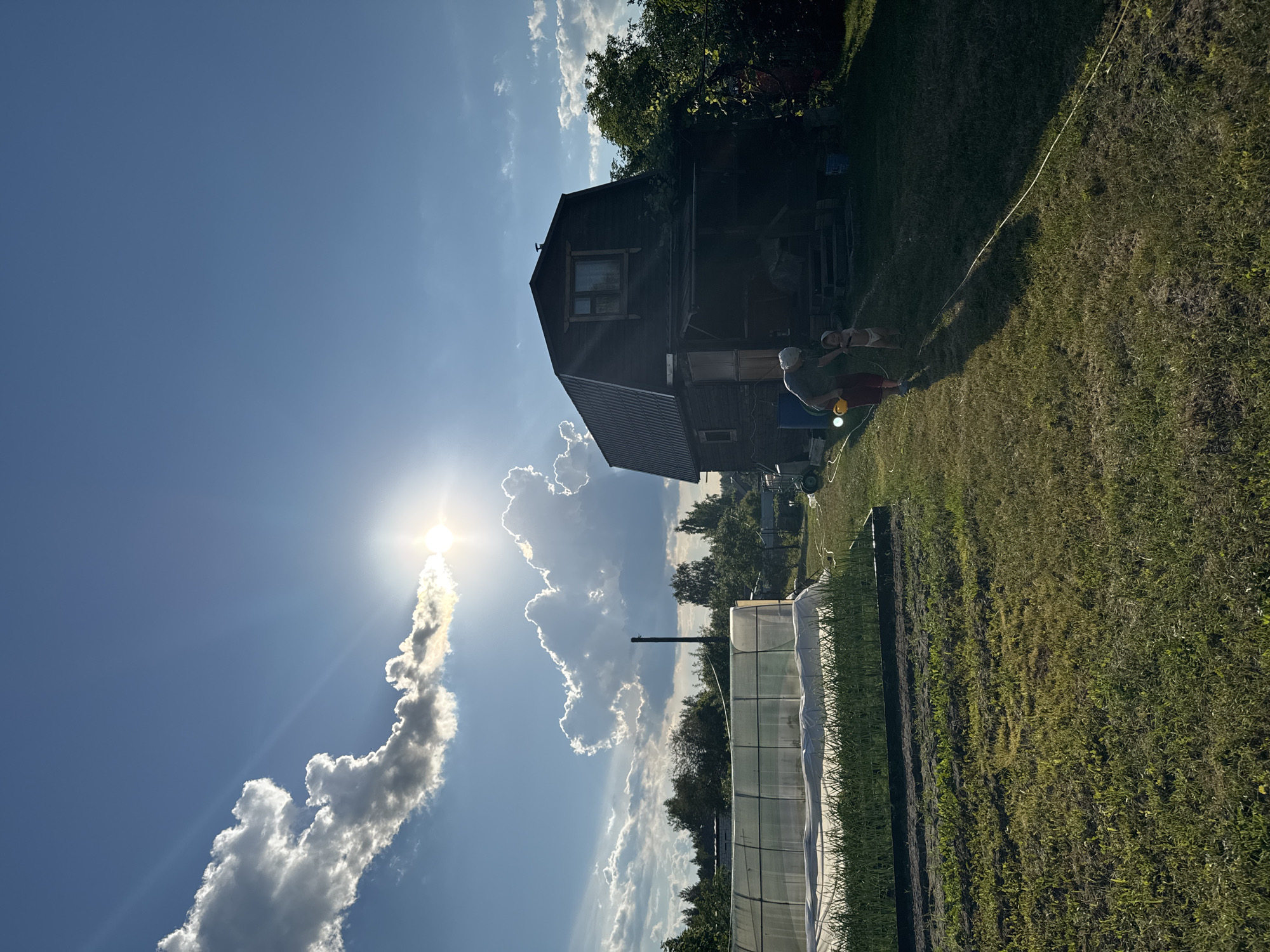 A wide shot captures a sunlit rural scene in Krivandino, Russia. The sun, partially obscured by dramatic clouds, shines brightly in the upper left quadrant of the sky. In the foreground, a neatly maintained garden with lush green grass leads towards a dark wooden house with a gambrel roof. To the left of the house is a greenhouse, covered with clear plastic sheeting, which encloses rows of young green plants. A person, possibly an adult, wearing a light-colored head covering and dark pants, stands in the yard near the house, interacting with a small child wearing a diaper. They appear to be holding a yellow object. A yellow hose stretches across the lawn. Trees and foliage surround the property, and a utility pole is visible in the distance.