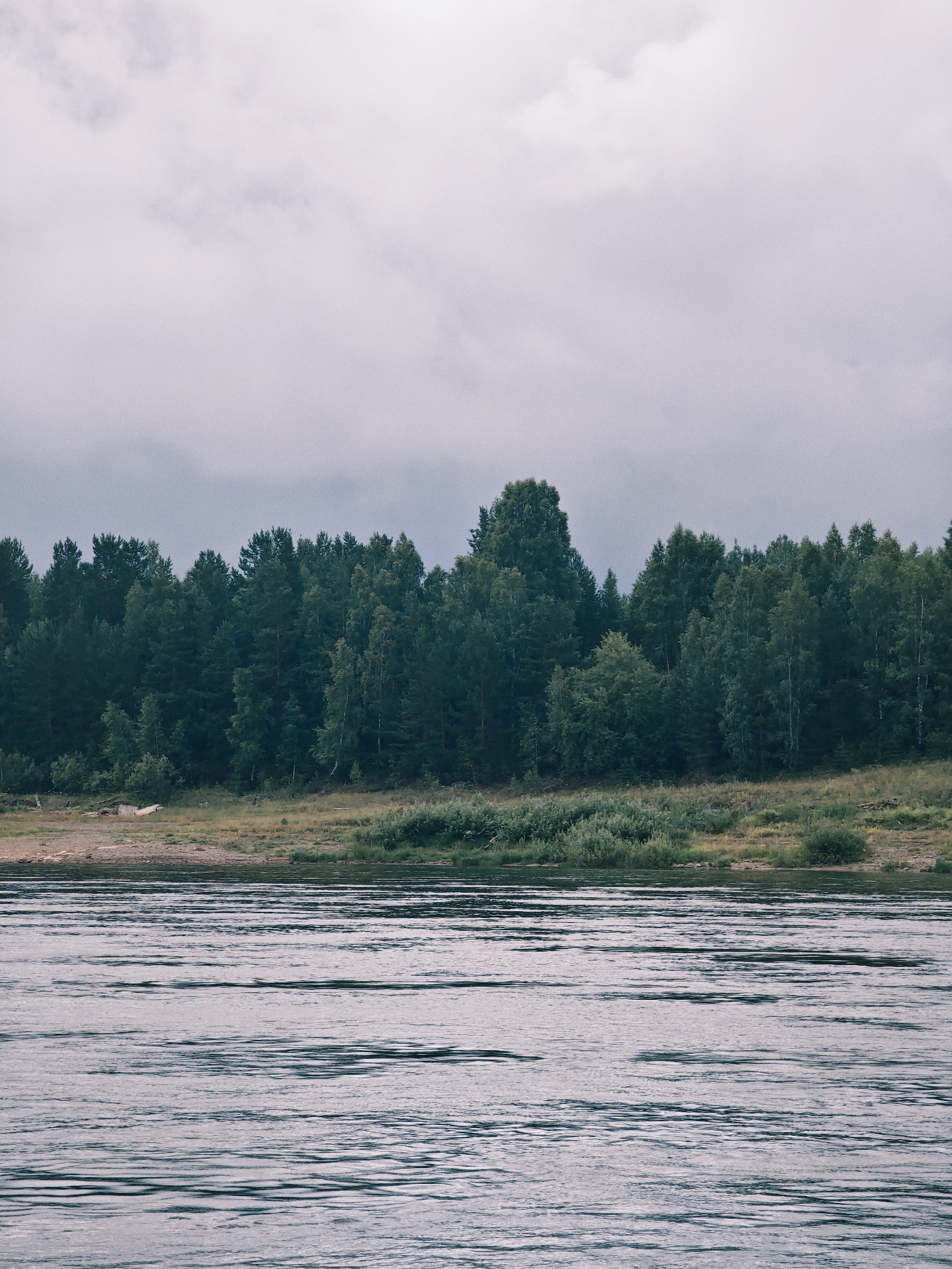 The image depicts a wide, calm river flowing in front of a dense, dark green forest that lines a gentle slope. The sky is overcast with a soft, diffused light. The water exhibits subtle ripples, indicating a gentle current. The riverbank is covered in grass and scattered pieces of driftwood, with a few taller trees interspersed within the forest. The scene is serene and natural, likely located in a wilderness area. Without additional information, the specific location within Lesosibirsk, Russia, cannot be determined. There are no people or animals visible in the image.