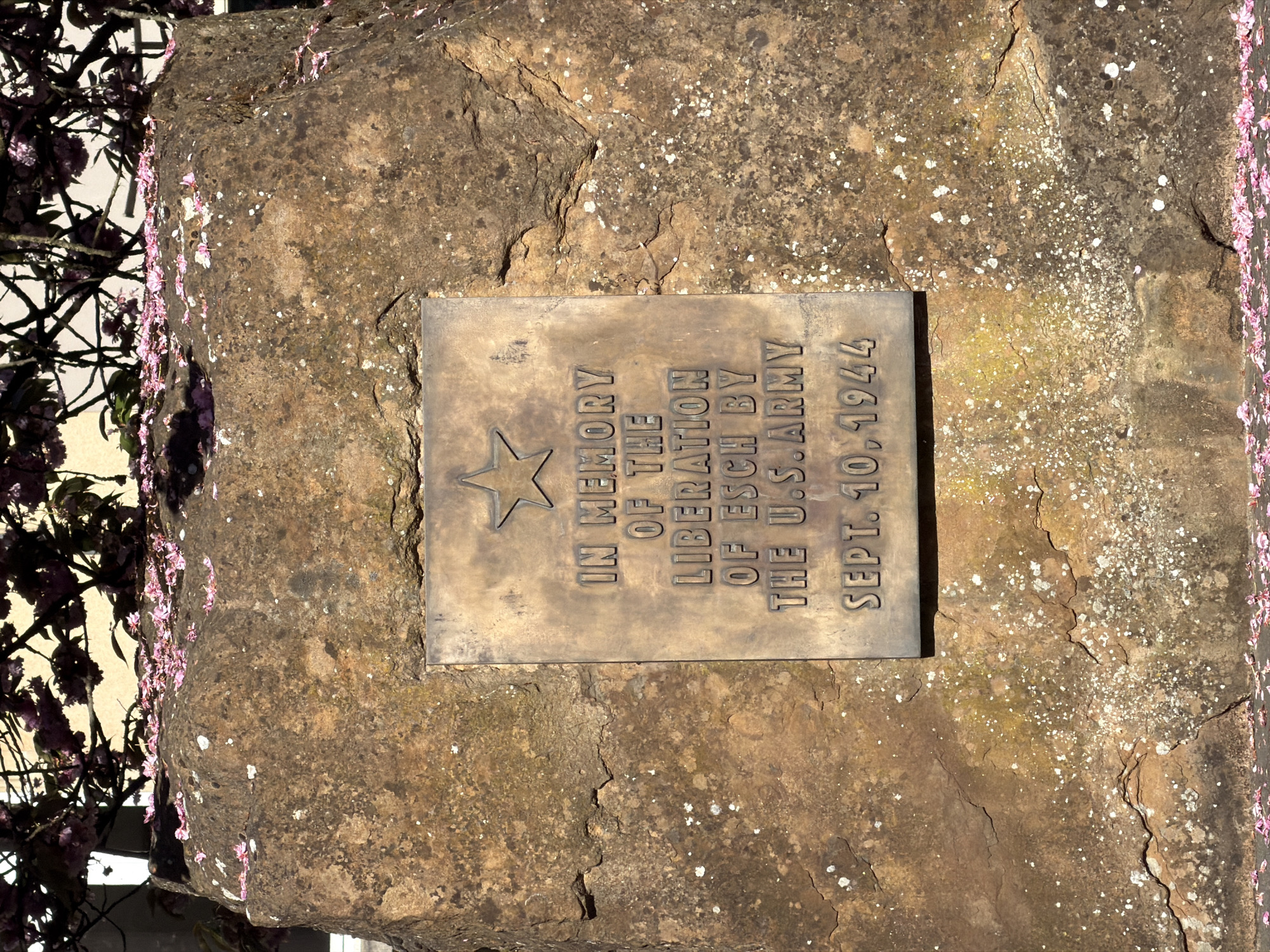 A close-up shot presents a weathered, textured stone surface, bearing a bronze plaque with inscribed text. The plaque reads, "IN MEMORY OF THE LIBERATION OF ESCH BY THE U.S. ARMY SEPT. 10, 1944," with a five-pointed star above the inscription. The background shows flowering branches and a suggestion of a building. The scene is likely a memorial site in Esch-sur-Alzette, Luxembourg, commemorating the liberation of the city by the U.S. Army. The lighting suggests a bright, sunny day.