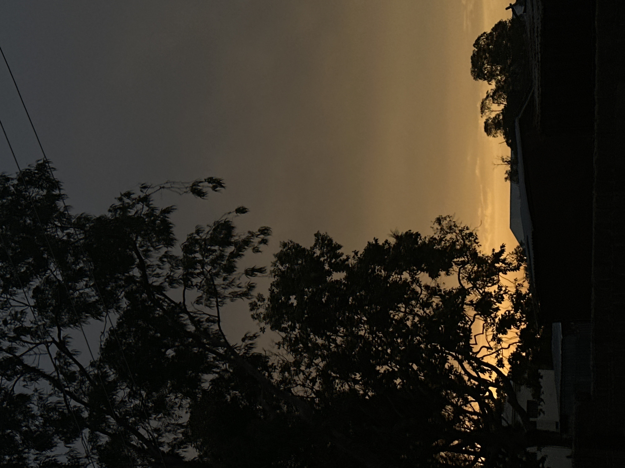 The image depicts a dusk or night scene in an undetermined location with dark, silhouetted trees obscuring parts of the view. The sky transitions from a dark, gray hue to a lighter, yellow-orange glow toward the horizon. Electrical wires are faintly visible against the sky. Buildings are vaguely discernible on the right side of the image, also in silhouette. The trees in the foreground appear to be blowing in the wind. There is no evidence to suggest the image was taken in Bukuru, Nigeria. There are no people in this image.