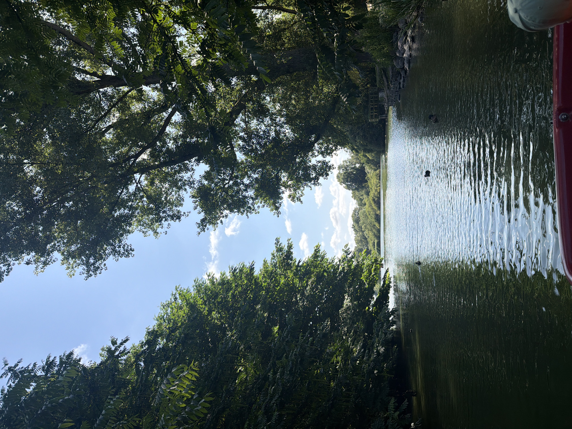 The image captures a serene scene on the Lanker See in Preetz, Germany, during the daytime. The perspective is from a red boat, with the front edge and a portion of a person wearing a green cap visible in the foreground. The water of the lake is calm, with light ripples reflecting the bright, blue sky dotted with scattered white clouds. Lush green trees line both sides of the lake, creating a natural tunnel effect that leads the eye towards a distant, tree-lined horizon. On the water, several dark-colored ducks are swimming. On the right bank, there is a rocky shoreline leading up to dense vegetation and trees. A wooden structure, possibly a small pier or viewing platform, is visible in the mid-ground on the right side. The overall atmosphere is peaceful and idyllic, showcasing a typical summer day at the lake.
