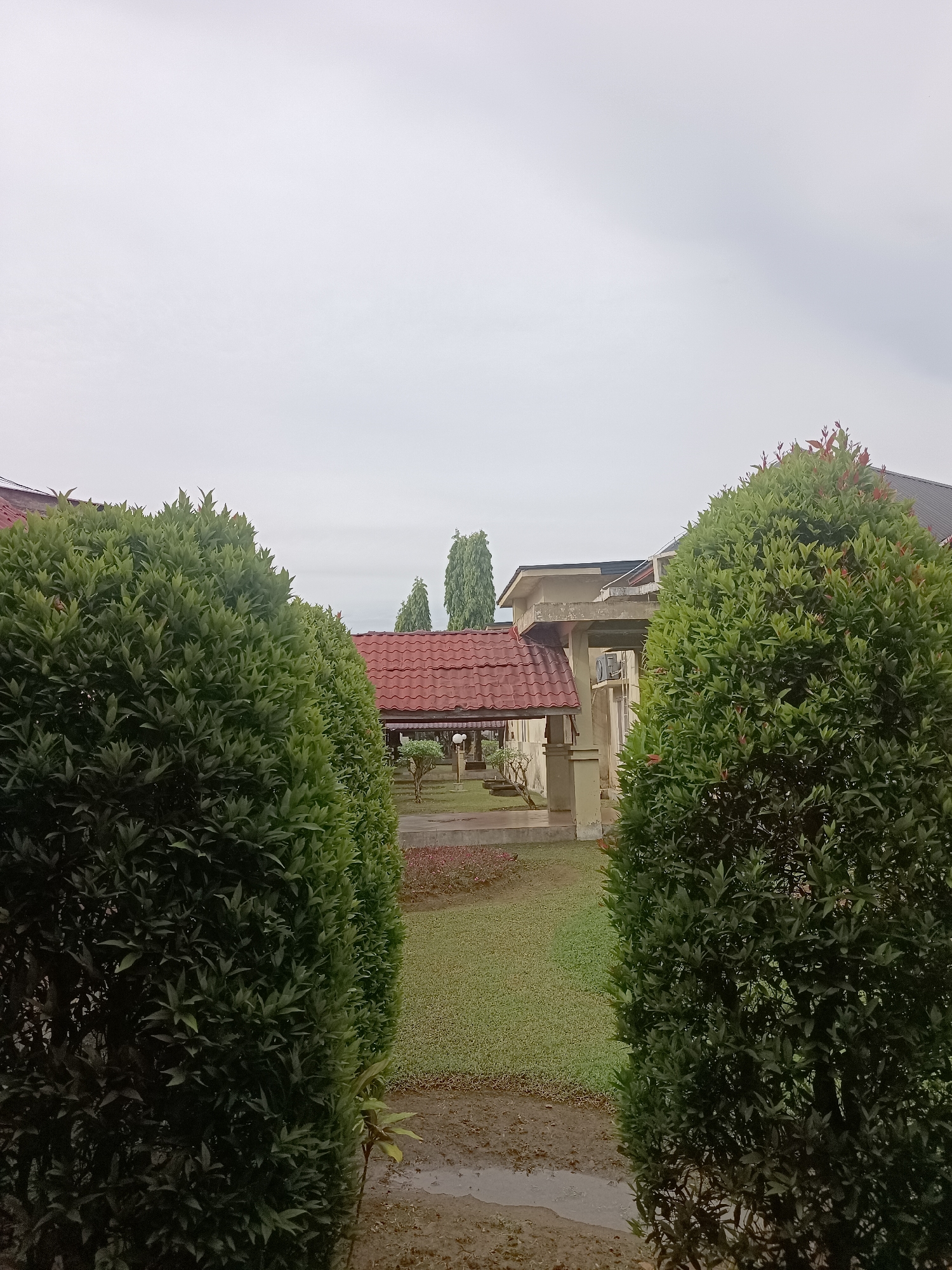 The image depicts a view of an outdoor area with lush greenery and some buildings. In the foreground, two large, dense green bushes are symmetrically placed on either side, framing a pathway leading into the scene. Beyond the bushes, a manicured lawn of green grass is visible, with a damp patch or puddle on the ground in the lower center, suggesting recent rain or morning dew.
Further back, several buildings with red tiled roofs and neutral-colored walls are partially visible. One building appears to be a covered walkway or pavilion with pillars and a beige roof structure. Tall, slender trees stand in the background, adding to the natural setting. The sky is overcast and appears light gray, indicating a cloudy or possibly foggy day.
The overall impression is one of a serene, well-maintained outdoor space, likely part of a complex or park. The time of day is difficult to pinpoint precisely due to the diffused light from the overcast sky, but it is likely morning or late afternoon. There are no people or animals visible in the frame, and no discernible text. The scene suggests a quiet, possibly humid climate, typical of tropical regions. The location context of Mesjid Reuntoh, Indonesia, further supports this interpretation of a peaceful, possibly religious or communal, outdoor environment.