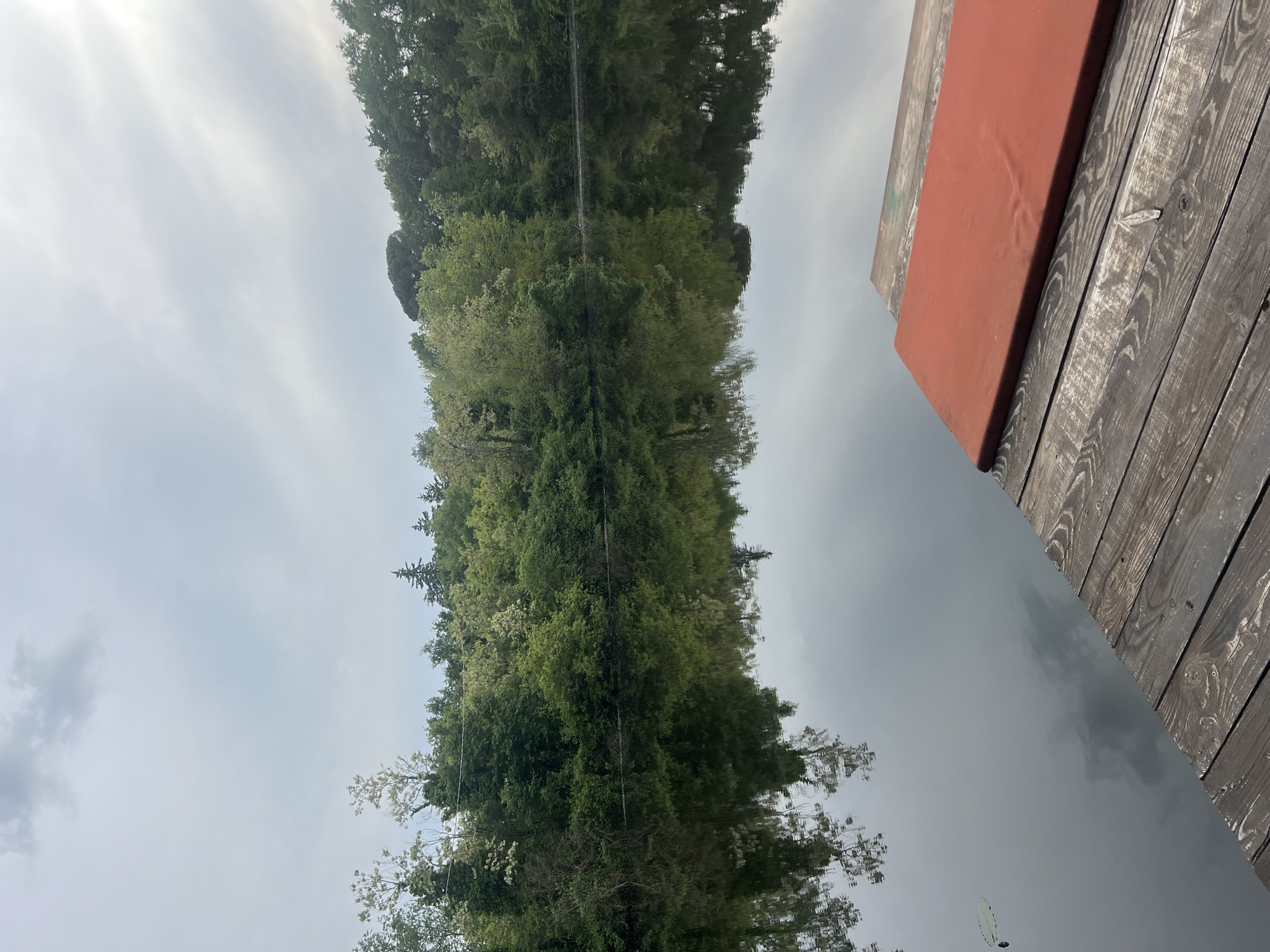 A slightly off-center, vertically mirrored image depicts a body of water reflecting a dense line of trees under a cloudy sky, with a wooden structure visible in the top right corner. The trees are predominantly green with varying shades and some lighter foliage intermixed. The reflection in the water mirrors the trees and sky, creating a symmetrical effect. The wooden structure appears to be part of a deck or pier, with a red-painted surface visible. The overall scene suggests a tranquil natural environment bordering a man-made structure. The precise location in Lucignano, Italy is unclear, however, this scene depicts trees reflecting in water on a cloudy day next to a dock.