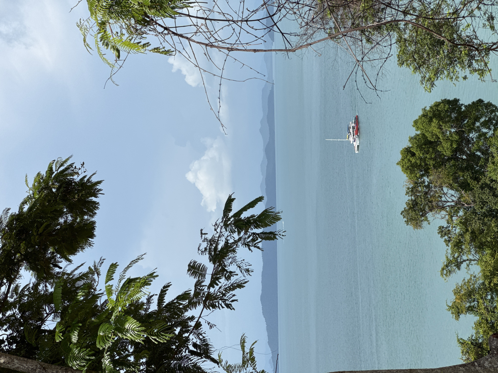 The image shows a serene view of the Andaman Sea from Pa Khlok, Thailand. In the foreground, lush green trees frame the scene, with their branches and leaves obscuring parts of the view. The turquoise water stretches to the horizon, where a range of mist-shrouded islands can be seen. A white catamaran with red accents sails calmly on the water. The sky is a mix of pale blue with scattered white clouds. The overall atmosphere is tranquil and picturesque.