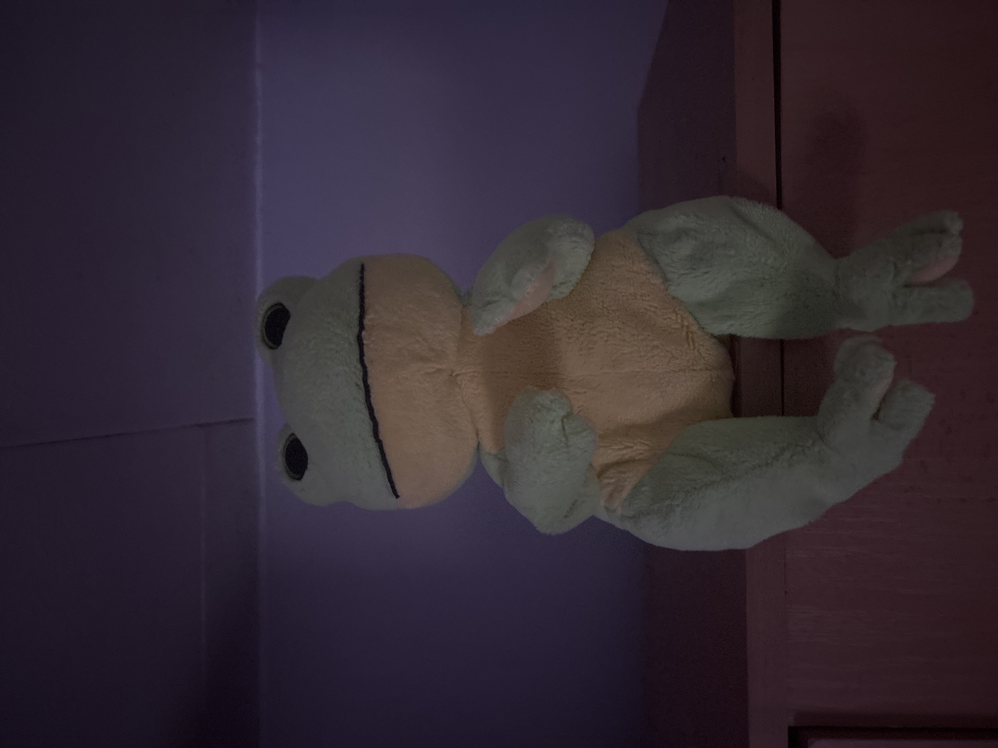 An overhead, medium shot shows a plush frog toy sitting on a pink surface against a purple background. The frog is light green with a pale yellow belly and black eyes. Its legs are bent and its arms are out to the sides. The surface the frog is sitting on appears to be a dresser or shelf. The background is a dark purple wall. The lighting is dim and appears to be coming from above.