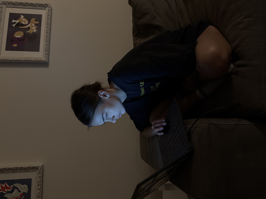 An indoor scene depicts a young adult female seated on a dark brown upholstered sofa, intently focused on a black laptop computer. The laptop screen emits a blueish light that illuminates her face and the immediate area. She has dark hair styled back, wears small stud earrings, a thin necklace, and a dark oversized t-shirt with light-colored text. Her right hand rests near the laptop's trackpad, indicating interaction with the device. A power cable is connected to the left side of the laptop. Her legs are bent, with bare upper thighs visible and dark socks with light stripes on her lower shins. The background features a plain, light-colored wall adorned with two framed abstract art pieces. The frame on the left contains artwork with blue, red, and white shapes, while the frame on the right displays purple, gold, and white abstract shapes. Both frames are ornate and silver-toned. A small white cylindrical object is partially visible on a light surface to the left of the laptop. The overall environment is dimly lit, with the laptop screen serving as the primary light source for the subject. This scene is situated in a residence in Venice, Italy.