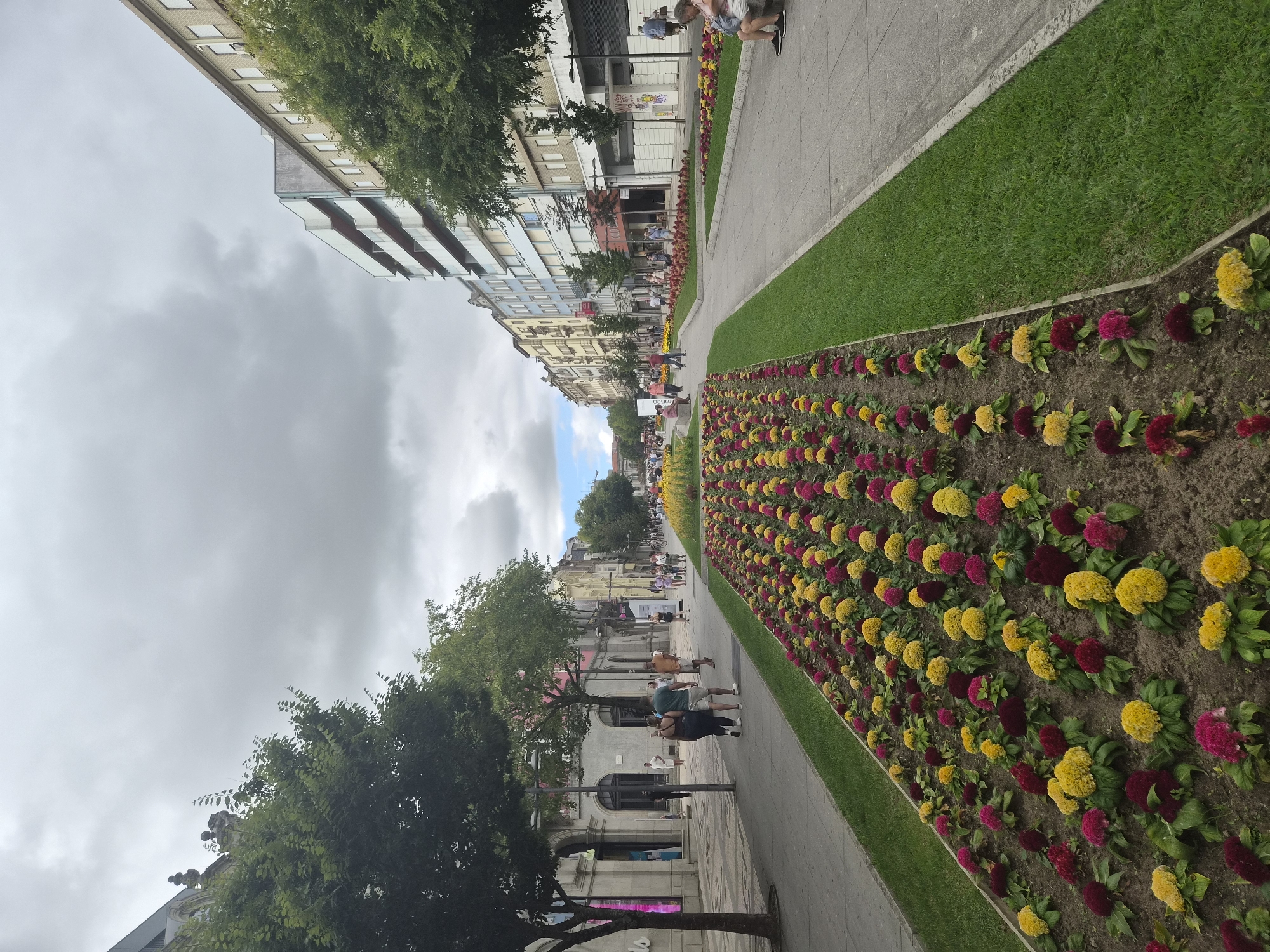 This image depicts a wide, paved pedestrian walkway in the city of Braga, Portugal, lined with rows of brightly colored flowers. The walkway is bordered on one side by a vibrant flower bed filled with yellow and pinkish-red blooms. On the other side, the walkway transitions to a lush green lawn, also featuring flower beds. Tall, mature trees are planted along the sides of the walkway, providing shade.
Buildings, typical of European urban architecture, line the street beyond the walkway. These structures vary in height and design, with some featuring classical detailing and others exhibiting more modern, multi-story facades with balconies. Shops and businesses appear to be located on the ground floors of these buildings.
Numerous people are visible strolling along the walkway, engaged in various activities. Some individuals are walking in pairs or small groups, while others are walking alone. A few people are seated on benches, observing the surroundings. The overall atmosphere suggests a bustling urban environment on a cloudy day, with the bright flowers adding a cheerful contrast to the overcast sky. The scene is a public space, likely a prominent street or avenue within Braga.