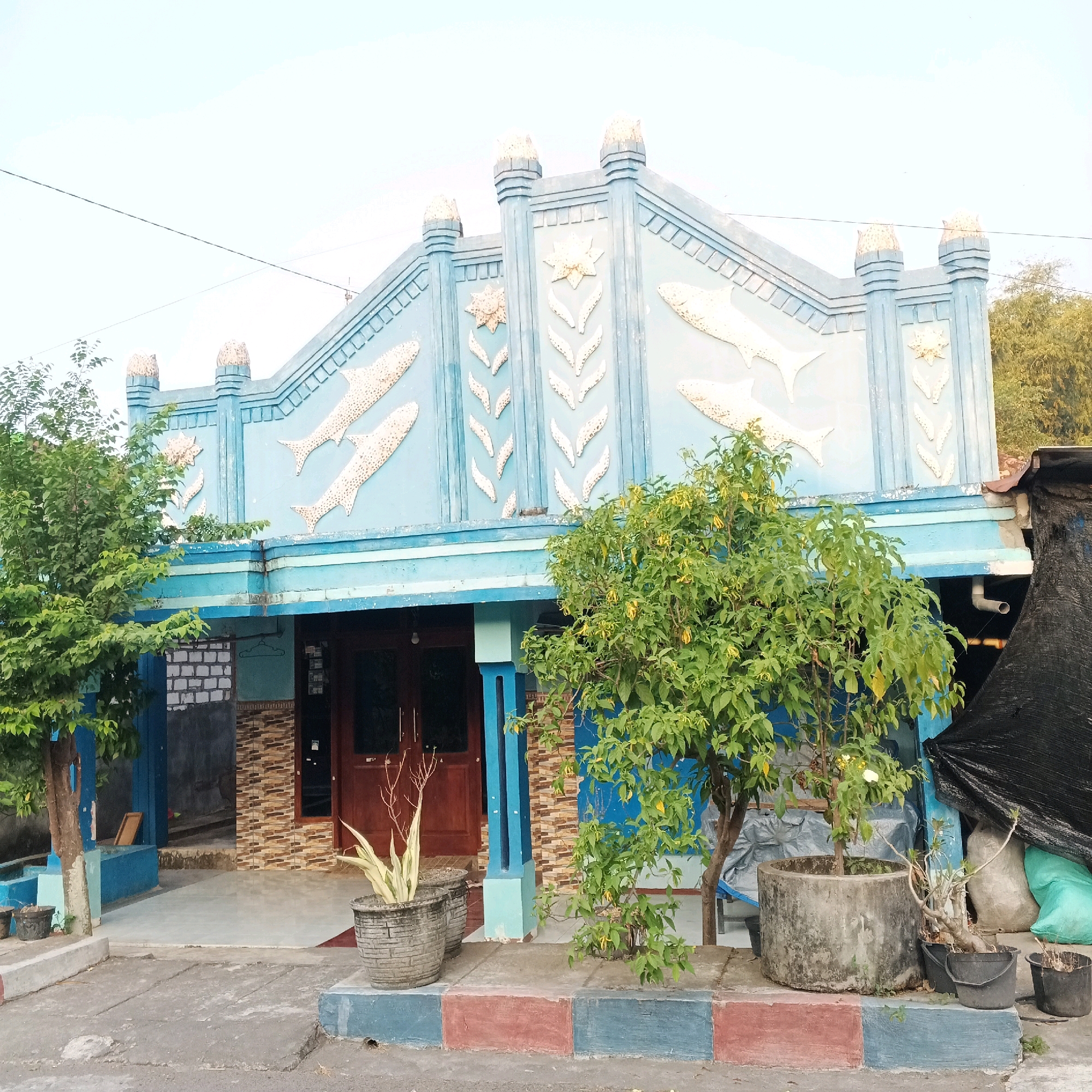 The image depicts the facade of a residential building in Canggah, Indonesia, featuring a distinctive blue upper level adorned with reliefs of fish and star-like ornaments. The architecture shows a stepped, triangular gable with decorative finials on its peaks. The lower section of the building is visible, including a wooden door, tiled walls, and blue pillars. In front of the house, there are several potted plants, including a leafy green tree and a spiky-leafed plant in a textured gray pot. The ground in front of the house is paved with concrete and features a colorful border of red and blue painted blocks. To the right of the house, a black tarp covers some objects, and two large bags are visible. The environment appears to be outdoors, with a clear sky and some trees visible in the background. There are no people visible in the image.