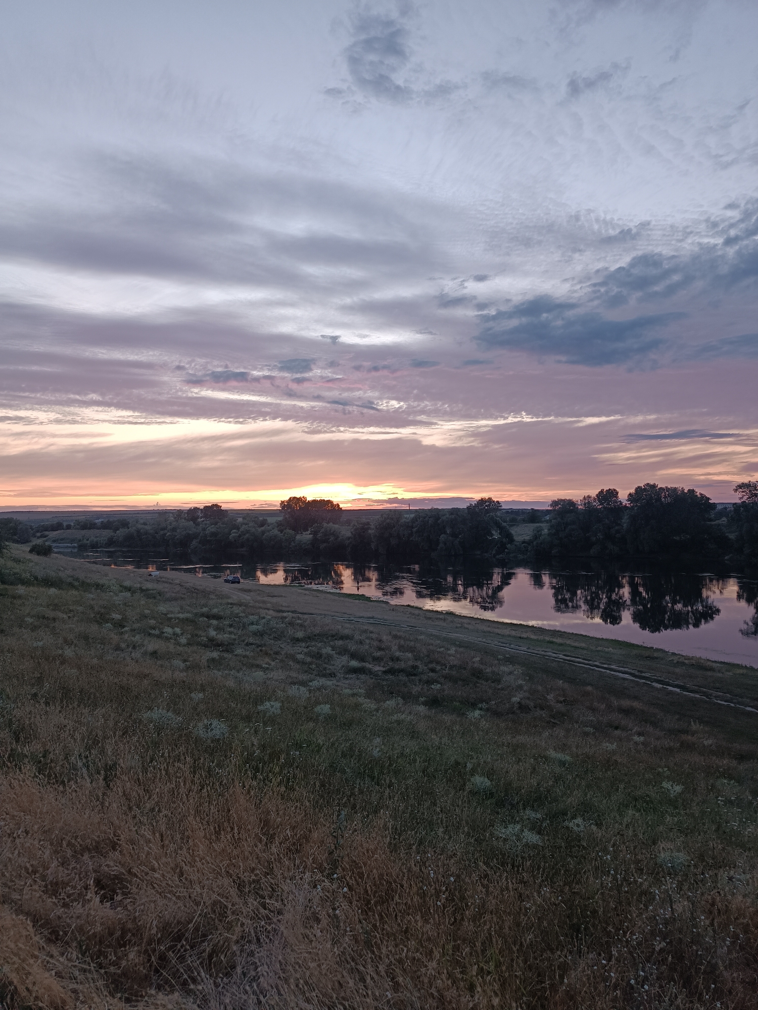 The image depicts a serene natural landscape with a river and sky. The foreground is dominated by dry, golden grass covering a sloping hill. A dirt path runs along the edge of the hill, separating it from the riverbank. The river itself is calm, reflecting the trees and the colorful sky. On the opposite bank, a dense line of trees forms a dark silhouette against the horizon. The sky is a canvas of soft, muted colors, with streaks of pink, orange, and purple clouds, suggesting either sunrise or sunset. There are a few indistinct objects on the riverbank, possibly a car and some structures, but they are not clearly discernible. The overall impression is one of peacefulness and natural beauty. This scene is located in Coșnița, Moldova, a rural area known for its natural landscapes.