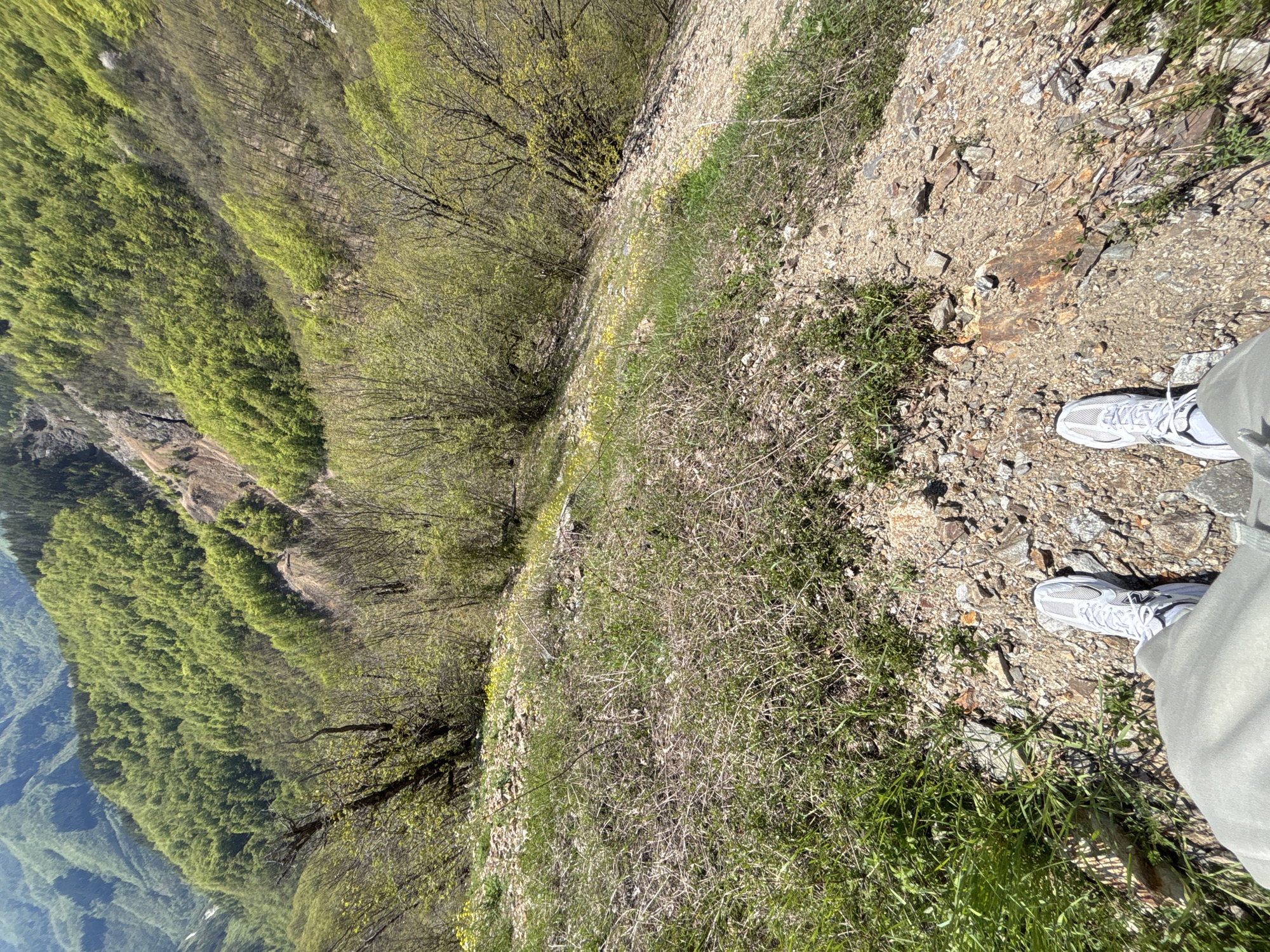 A person stands on a rocky, dirt-covered hillside in Petrov Dol, Bulgaria. The person is wearing light-colored sneakers and pants. A steep, tree-covered slope descends to the left, with lush green foliage visible in the valley below. The hillside where the person stands is interspersed with grass and small plants. The perspective suggests a high vantage point.