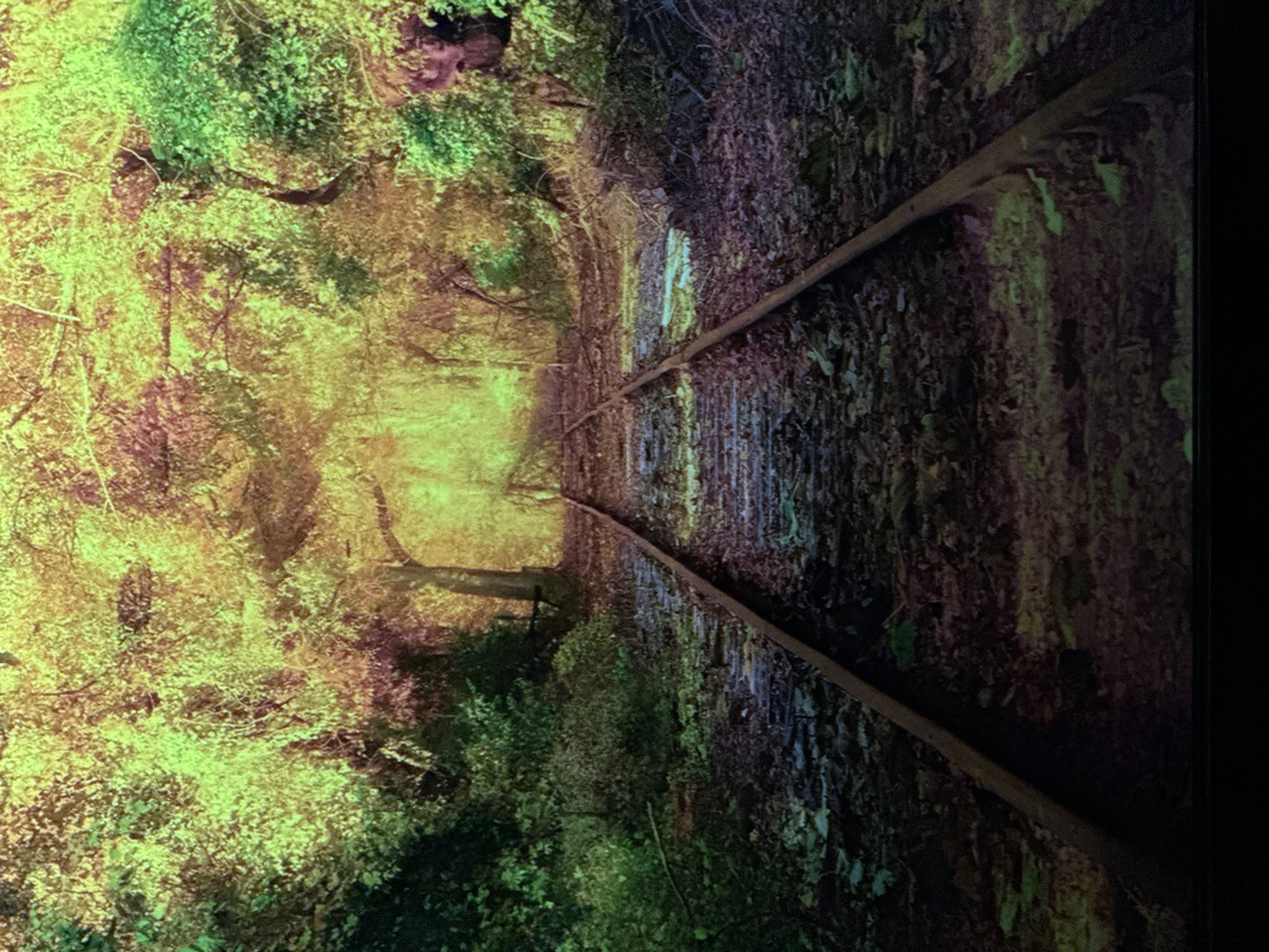 The image depicts a set of train tracks disappearing into a tunnel of lush, vibrant green foliage. The trees overhead form a dense canopy, allowing only a bright, diffused light to filter through, creating an ethereal glow at the end of the tracks. The railway is weathered and rustic, with overgrown vegetation encroaching on the sleepers and ballast. The overall impression is one of an abandoned or disused railway line, reclaimed by nature. The foliage is a mix of deep greens and lighter, almost yellow-green hues, suggesting a warm, possibly late summer or early autumn setting. The lighting is soft and atmospheric, contributing to a sense of mystery and seclusion.