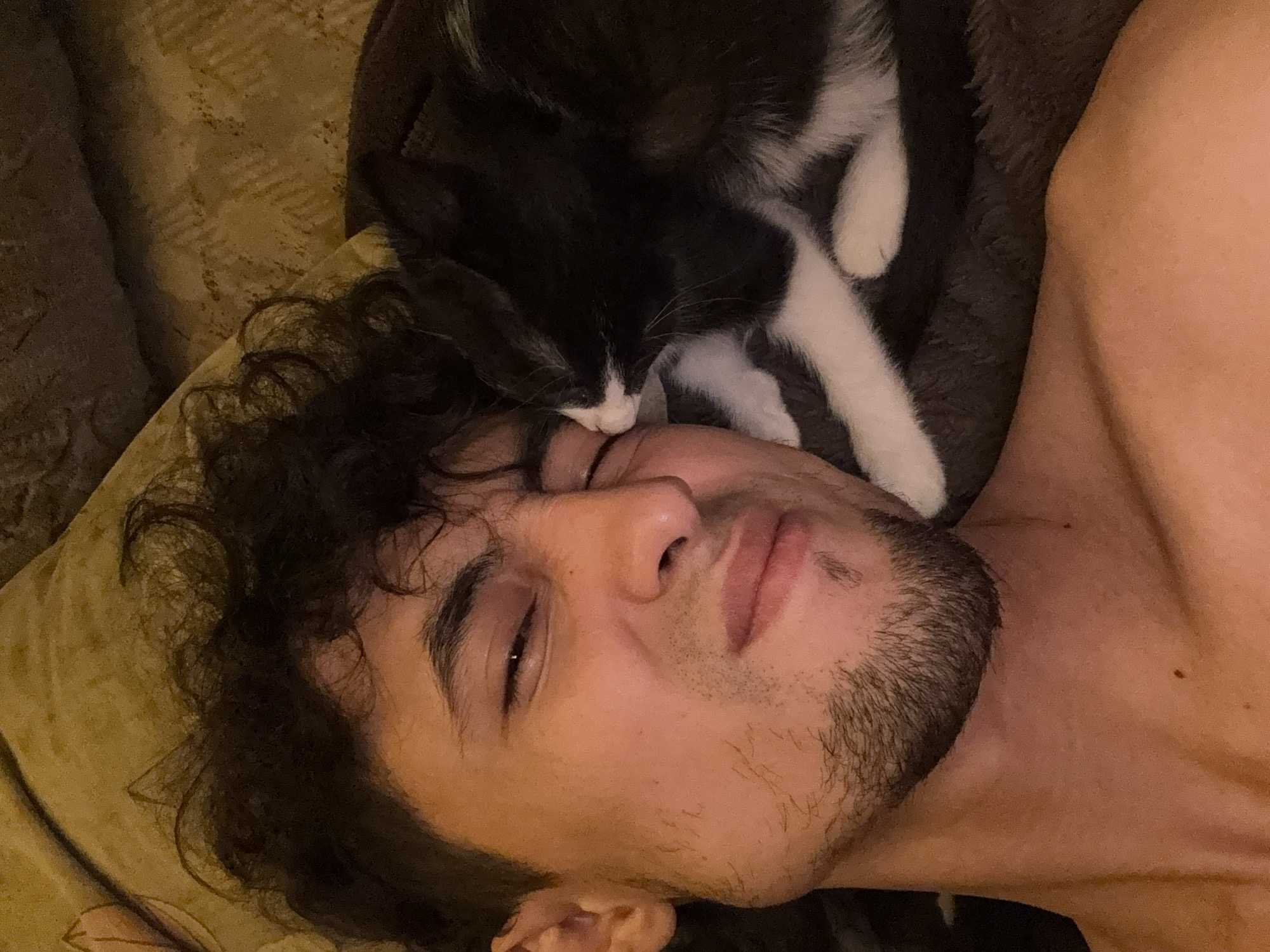 A close-up, overhead shot captures a man and a black and white cat cuddling. The man, with curly dark hair and a goatee, squints with his eyes closed, his face contorted in a grimace. The cat is nestled against his cheek, its white paws visible. They are lying on a textured, brown blanket.