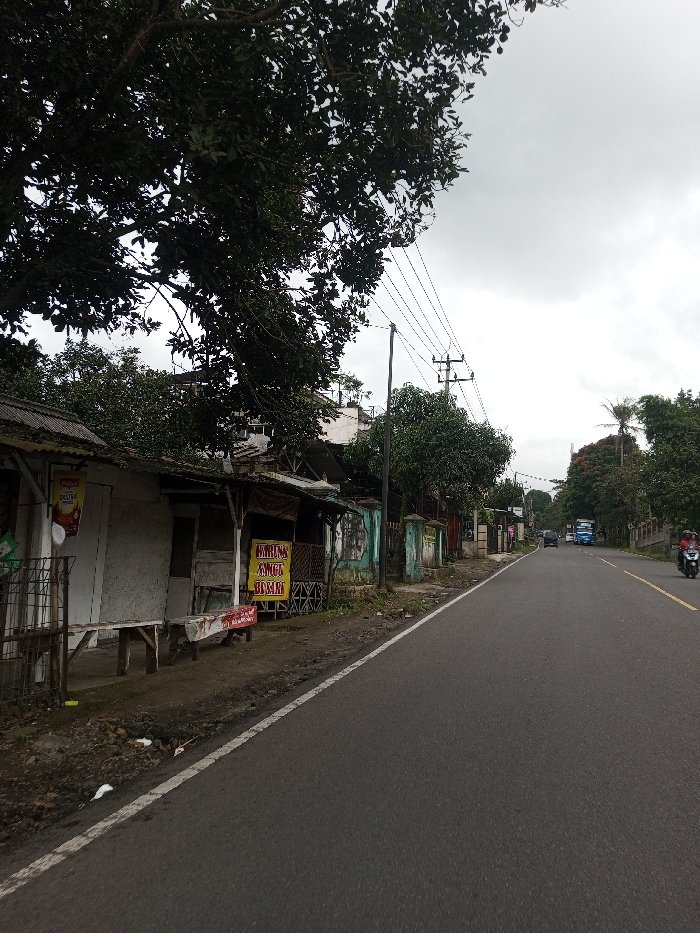 This image depicts a semi-urban or rural street scene in Kodarapalli, India, under an overcast sky. The view is along a two-lane asphalt road that recedes into the distance.
On the left side of the road, a dirt shoulder with scattered white debris borders the pavement. Adjacent to this, a series of single-story structures with corrugated metal roofs line the street. The closest building has a light-colored facade with a poster, possibly for "Indomie," and a wooden bench or table in front. Further along, another structure features a prominent yellow sign with red text that reads "WARUNG AYAM BAKAR." Trees with dense green foliage are abundant, with a large tree in the upper left foreground partially obscuring the sky and distant buildings. Utility poles carrying multiple power lines run parallel to the road on the left.
The road itself has a solid white line marking its left edge and a solid yellow line further distinguishing the lanes in the distance. Vehicles are visible on the road, traveling away from the viewer. These include a blue truck or bus, several dark passenger cars, and a red motorcycle with a single rider on the far right lane. The right side of the road is bordered by a line of trees and vegetation, including a visible palm tree, with buildings partially obscured behind them.