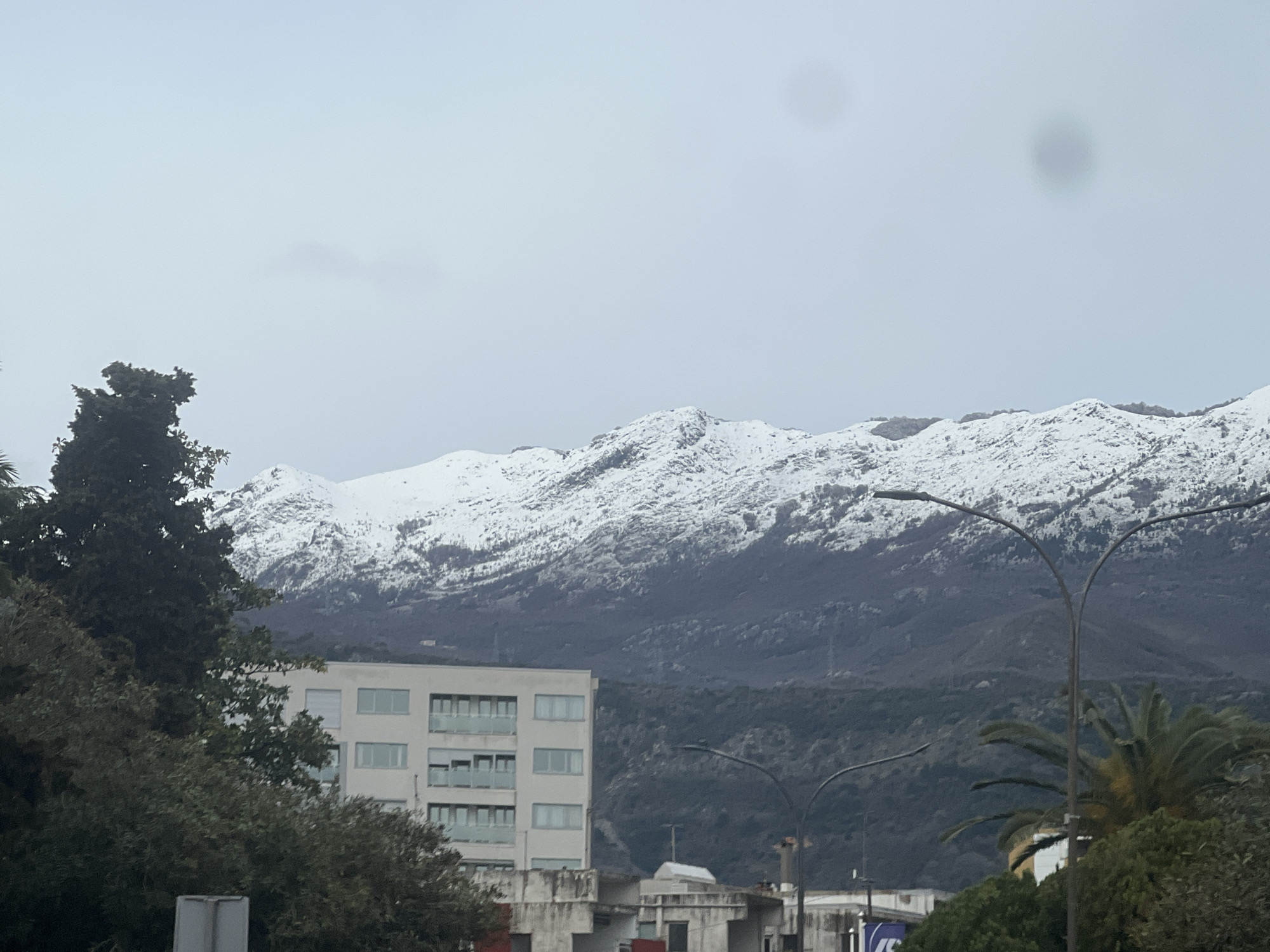 The image displays an outdoor scene under an overcast, light grey sky. In the background, a range of mountains is visible, with their upper slopes covered in white snow, while the lower sections appear dark grey and brown.
In the midground, a light-colored, multi-story building, approximately five floors high, stands towards the left. This building features multiple rectangular windows, some with external blinds or shutters, and balconies with railings on its right side. Further right in the midground, partially obscured structures with flat roofs and concrete elements are present, including a small white structure on a rooftop. Two dark, arched streetlights extend upwards on the right side, with the closer one more prominently detailed. A segment of a blue and white sign, displaying white letters (possibly "JS"), is partially visible in the lower right corner.
The foreground and midground are characterized by diverse vegetation. Dense, dark green evergreen trees occupy the left side, partially obscuring the mountains and the left portion of the building. Various green bushes and shrubs are scattered across the lower part of the frame. A prominent palm tree with dark green fronds is situated on the right side, behind one of the streetlights.
No individuals or discernible actions are present. Two dark, circular lens flares are visible in the upper sky, one in the upper right quadrant and another near the center-left.
This scene is consistent with the city of Budva, Montenegro, where coastal urban development is backed by mountains that can experience winter snowfall.