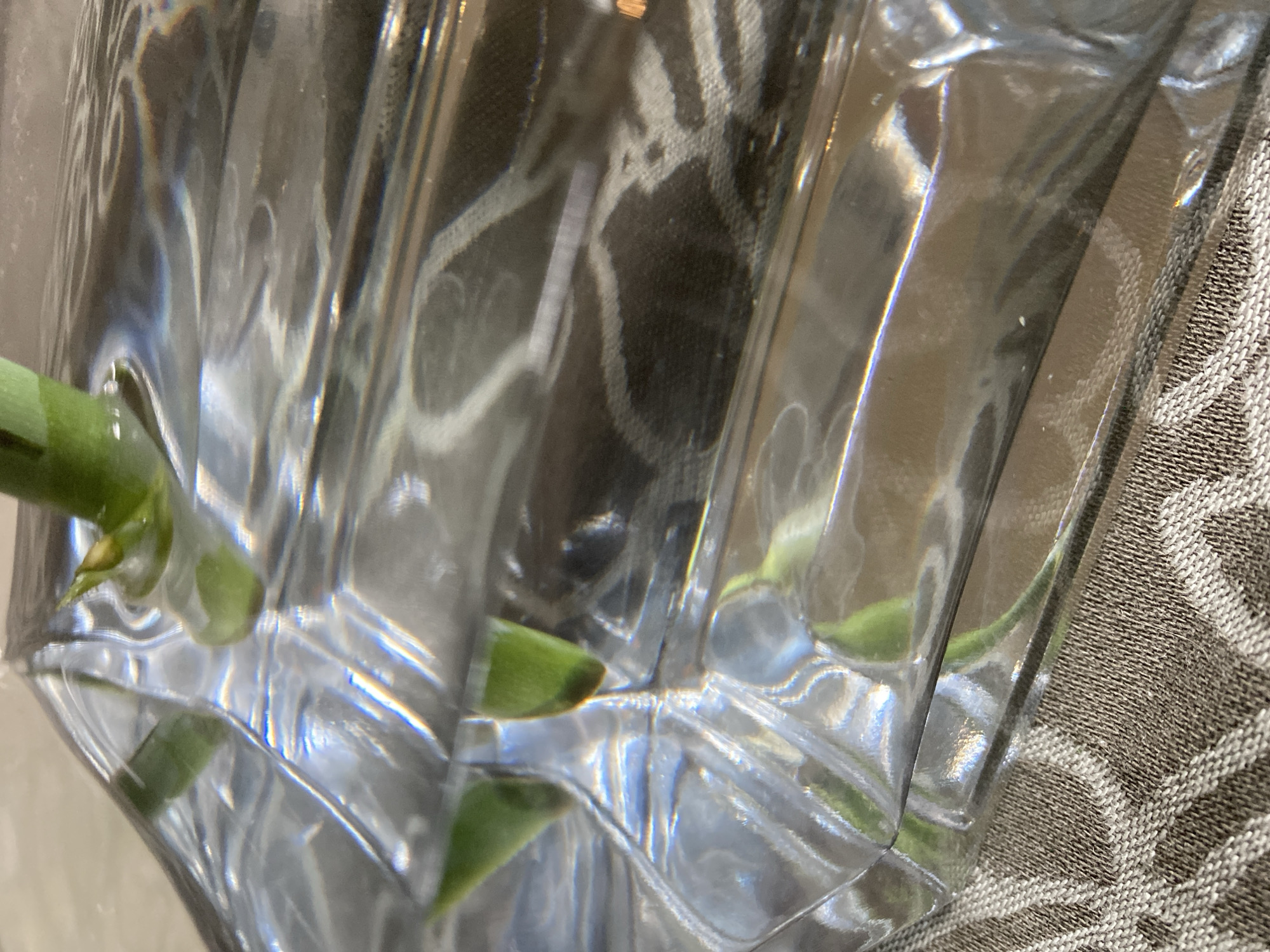 A close-up, slightly angled shot shows green plant stems submerged in clear water within a transparent, rectangular glass vase. The vase rests on a textured, brown and white patterned fabric. The water refracts light, creating shimmering highlights and distorted reflections of the plant and the background. The background, visible through the water and glass, appears to be a dark, patterned fabric. There is no indication of a specific location within Им. Коняшина Снт, Russia. The scene is static, with no visible human presence or action.