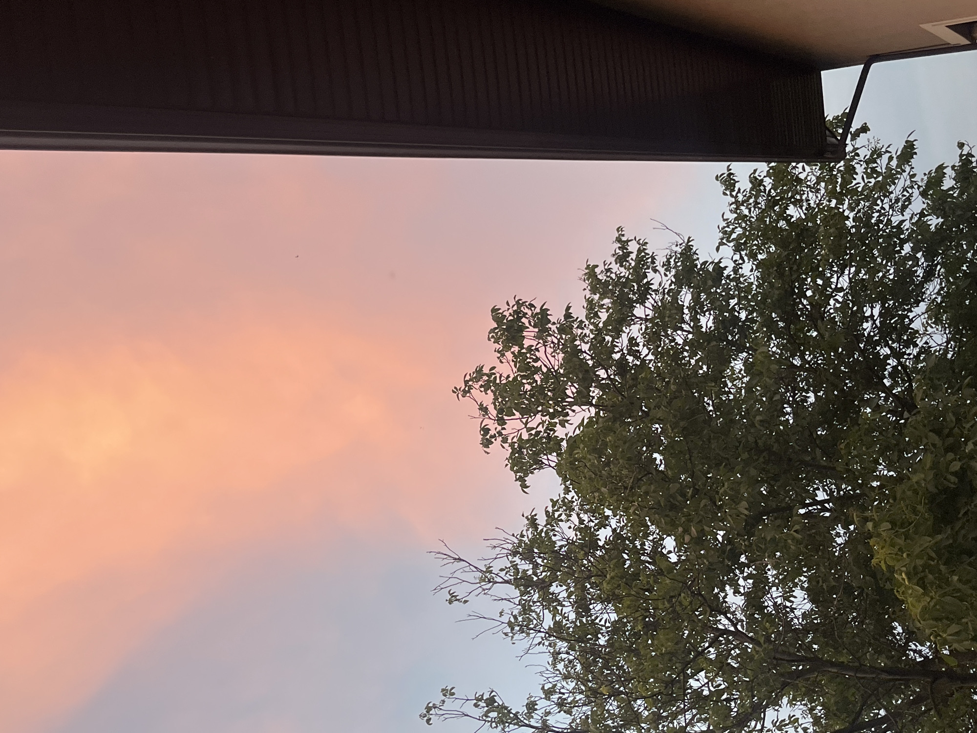 The image shows a sky with pink and orange clouds, likely at sunset or sunrise. In the foreground, there are the tops of green leafy trees. To the right, a portion of a building is visible, with a dark brown overhang and a light beige wall. The scene appears to be an outdoor view, possibly from a residential area. There are no people or specific landmarks visible that would indicate a precise location within the city of Koroviia, Ukraine.