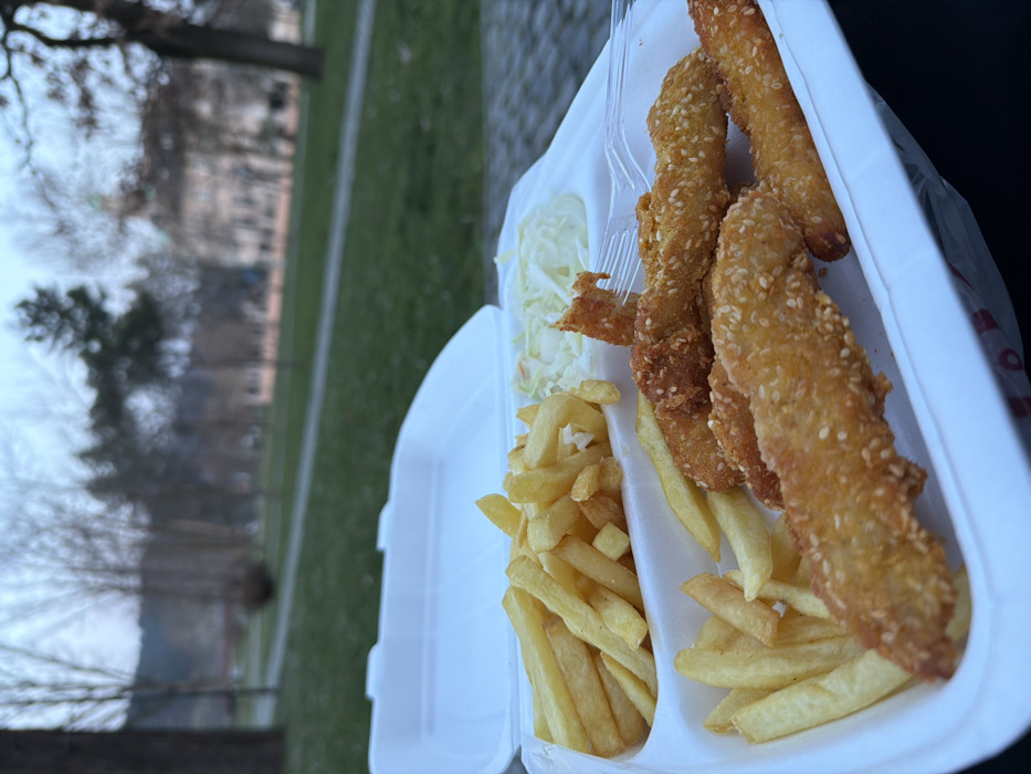 The image depicts an open, white, hinged Styrofoam takeout container filled with food, positioned in the foreground of an outdoor park scene. The container contains a large portion of golden-brown french fries on the left, a serving of shredded white cabbage or coleslaw in the center, and multiple elongated, golden-brown fried items coated with sesame seeds on the right, consistent with chicken tenders. A translucent plastic fork is partially inserted into one of the sesame-crusted items. The container rests on an indistinct dark surface.
The background, significantly blurred, shows a public park characterized by green grass and numerous bare deciduous trees, suggesting late autumn or early spring. In the far right background, a prominent architectural structure is visible: a multi-story building with a distinctive greenish dome or roof, consistent with historical Austro-Hungarian architecture. This building is the Soli Palace (also known as the District Building or Austro-Hungarian Building), located in Gradski Park in Tuzla, Bosnia and Herzegovina. The sky appears overcast or twilight, contributing to soft, diffused lighting. No individuals or human actions are discernible within the frame.
