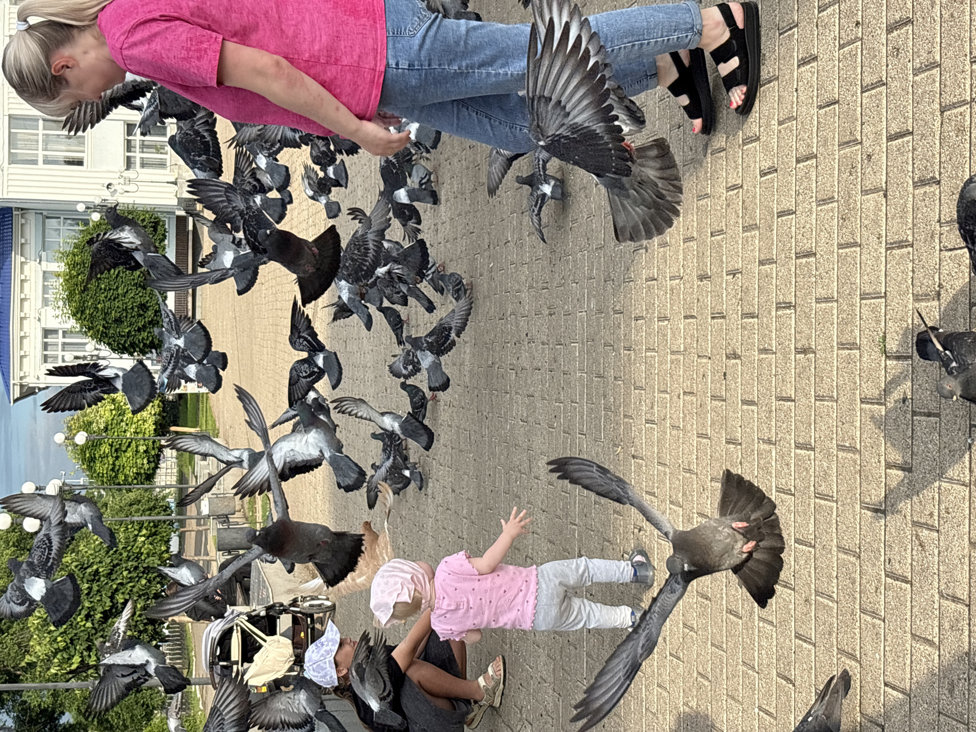 The image depicts a scene on a brick-paved square in Chaikovsky, Russia. A woman in a pink t-shirt and blue jeans, wearing black sandals, stands on the right side of the frame, looking to her left. A young child wearing a pink shirt and grey pants, with a pink headscarf, stands in the center, facing away from the viewer, reaching out towards a flock of pigeons. To the left of the child, a person wearing a white cap and dark clothing is crouched down. Numerous pigeons are in flight and on the ground around the people. In the background, a building with white walls and blue trim is visible, along with trees and lampposts. A stroller is also present to the left of the child. The sky is overcast.