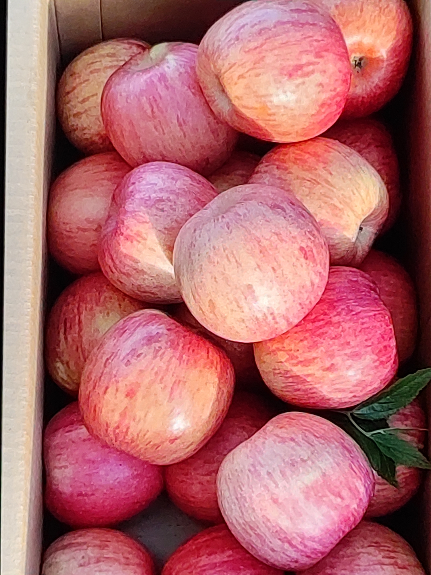 A close-up, high-angle shot captures a cardboard box filled with ripe, pink and red apples. The apples, with their characteristic striped blush, are tightly packed, with some showing hints of yellow. A few green leaves are nestled amongst the fruit, suggesting freshness. The box's textured, light brown interior walls are visible on the left and top edges. The scene appears to be a naturalistic arrangement, possibly a market stall or a home harvest, in Tashkent, Uzbekistan.