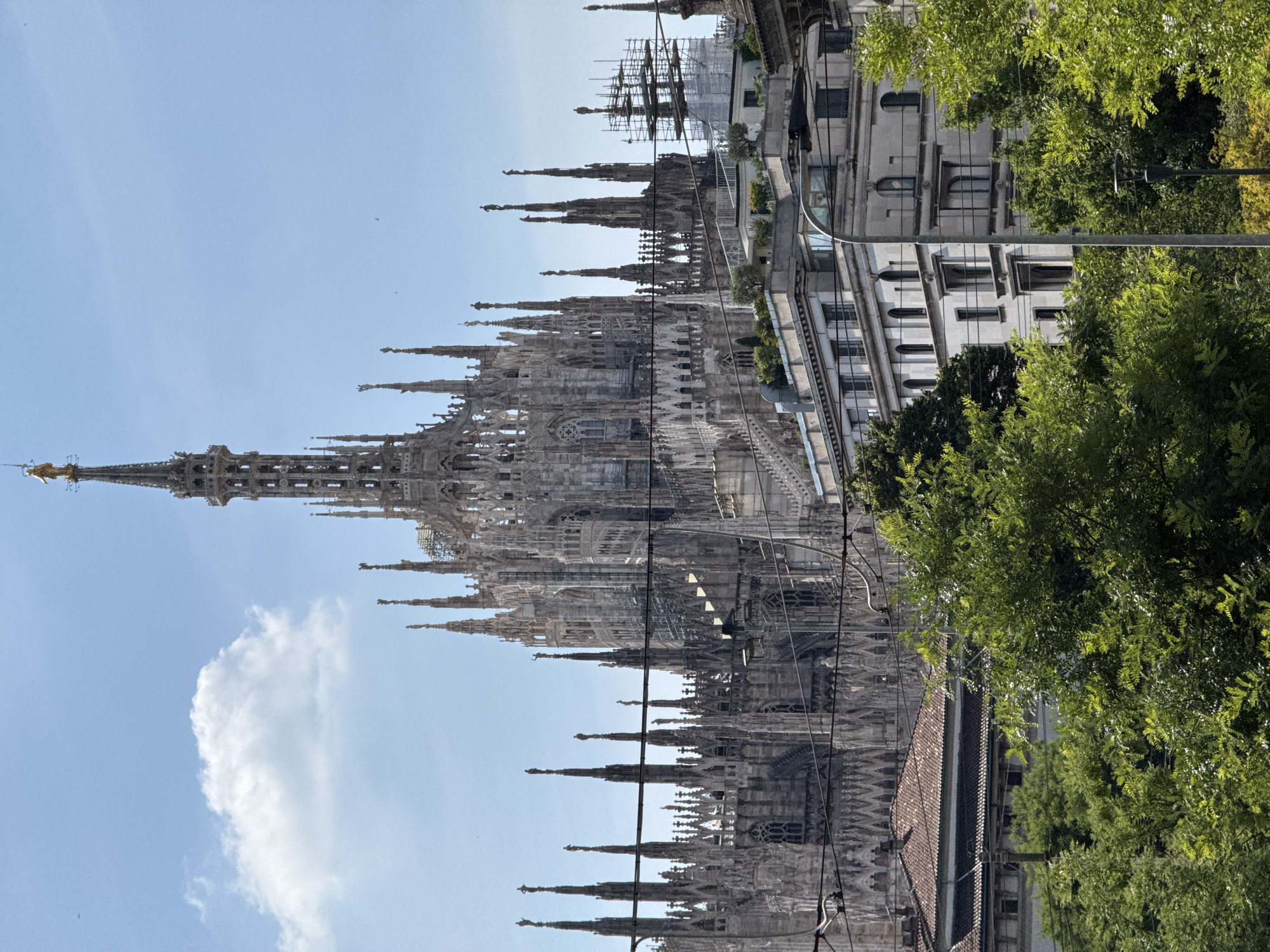 This vertical full shot captures the Milan Cathedral (Duomo di Milano) prominently in the upper two-thirds of the frame, viewed from a distance. The Gothic cathedral, constructed from white marble, displays numerous ornate spires and intricate architectural details. The tallest spire, topped with a golden statue known as the Madonnina, extends towards the top center. Scaffolding is visible on some of the spires towards the right side of the cathedral, indicating ongoing maintenance or construction work.
In the mid-ground, below the cathedral's base, a series of multi-story buildings are visible. Some buildings feature flat roofs with green vegetation, suggesting rooftop gardens or terraces. One building to the left has a reddish-brown tiled roof. Utility lines, likely for trams or power, crisscross horizontally across the mid-ground, partially obscuring parts of the cathedral and the buildings below.
The foreground is dominated by vibrant green foliage from numerous trees, obscuring the ground level and the lower parts of some buildings. A dark street lamp post is discernible on the right side, emerging from the tree line. The sky above is a clear, light blue with a single distinct white cumulus cloud visible in the upper left quadrant and fainter wisps elsewhere. The scene is brightly lit by sunlight, casting minimal shadows, suggesting a clear day. No individuals are visible. The scene is located in Milan, Italy.