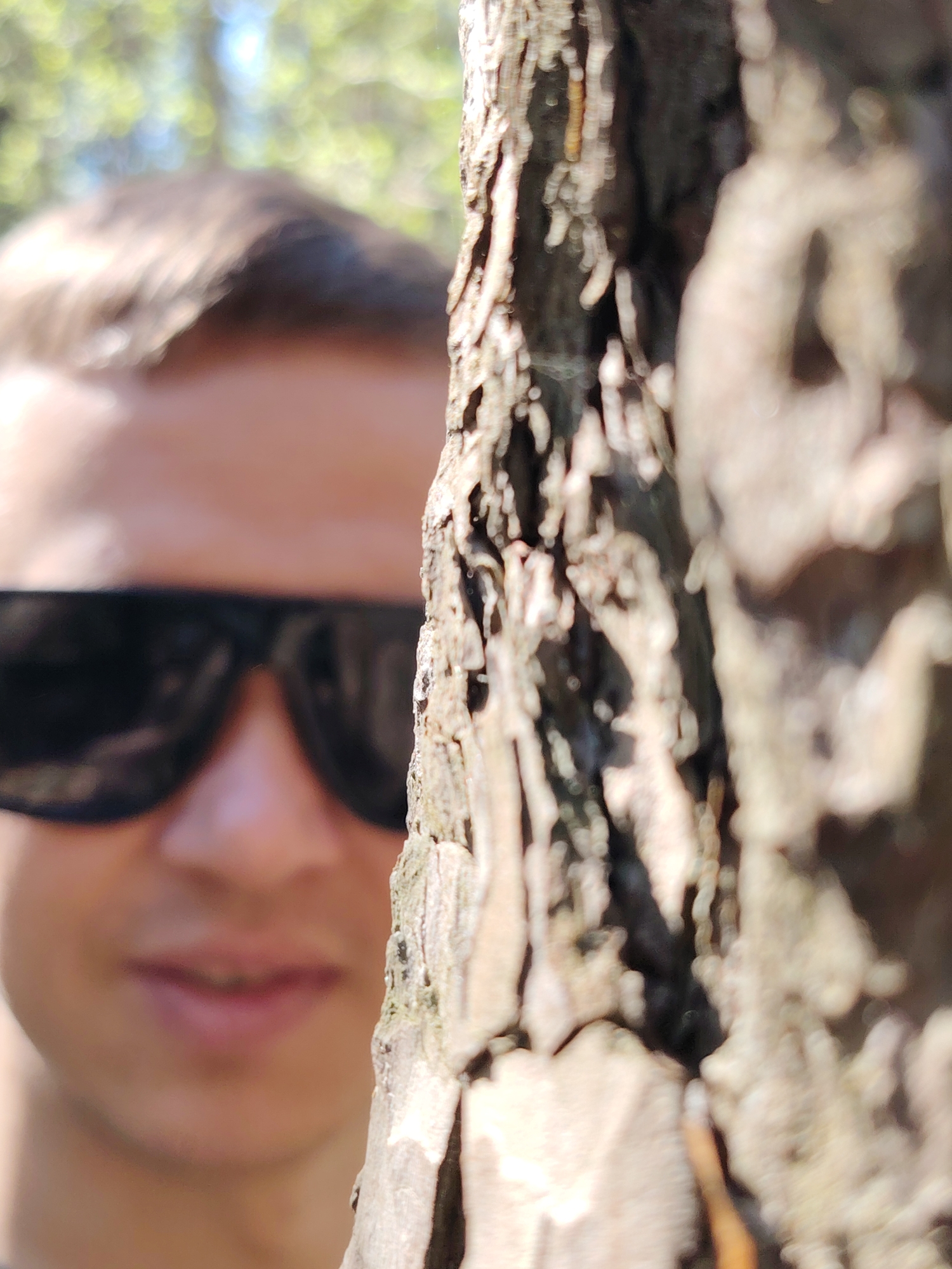 A blurred image shows a person with sunglasses partially obscured by a tree trunk. The person's face is out of focus, while the tree bark is relatively more defined. The background is indistinct, suggesting a natural setting, possibly a park or forest. The location in Chaikovsky, Russia is not evident from the image. No specific actions or interactions can be determined.
