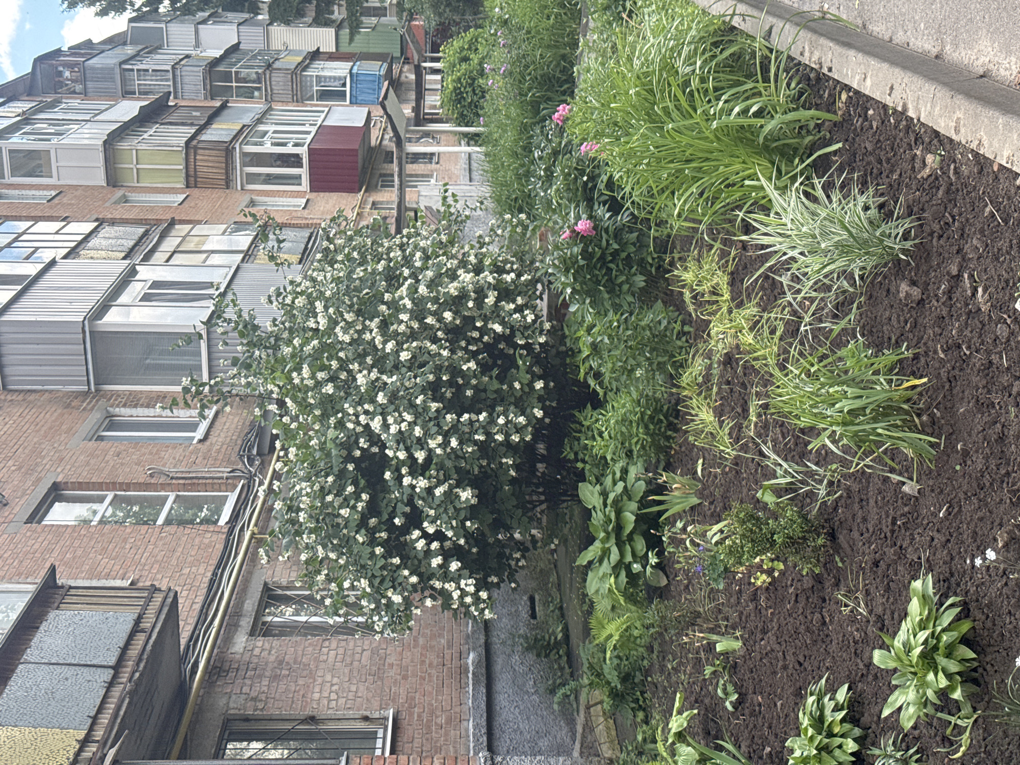 The image depicts the exterior of a brick apartment building in Poltava, Ukraine, characterized by multiple balconies of varying designs and materials. In the foreground, a lush garden bed lines the sidewalk, featuring a large flowering bush with white blossoms, various green plants, and some blooming pink flowers. The garden is bordered by a concrete curb. The building itself shows signs of age and utilitarian construction, with exposed pipes and a mix of metallic and wooden balcony enclosures. The sky is partly cloudy. No people are visible in the scene.