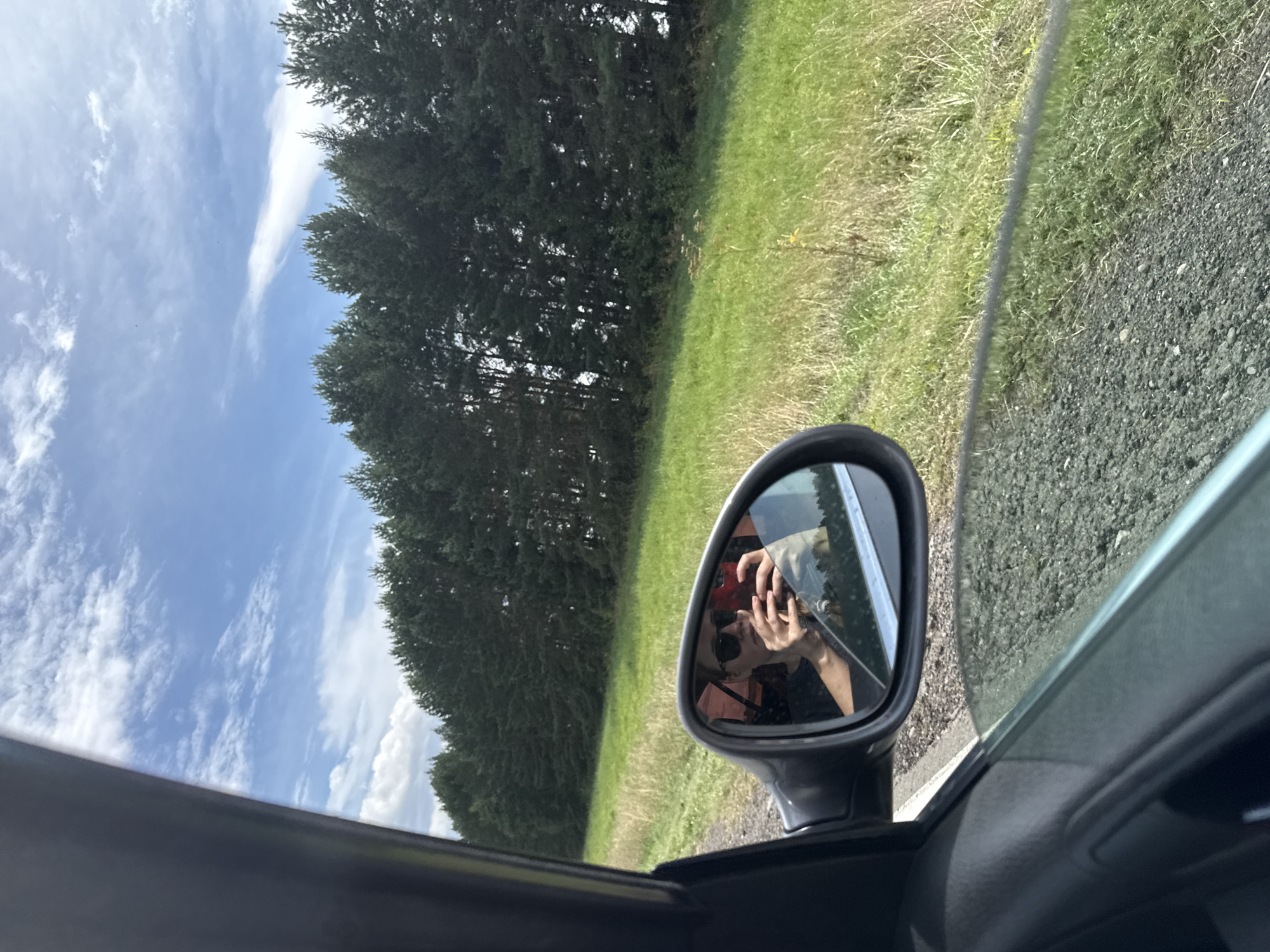 The image captures a reflection in a car's side mirror, showing a person wearing sunglasses and holding a red smartphone. The person appears to be taking a selfie. Outside the car, a lush green field with tall trees lines the horizon under a blue sky with scattered white clouds. The car is on a gravel road beside the field. The scene is observed from within the car, with a portion of the car's interior visible in the foreground, including the window and door panel. There is no information to suggest the location is in Nylga, Russia.