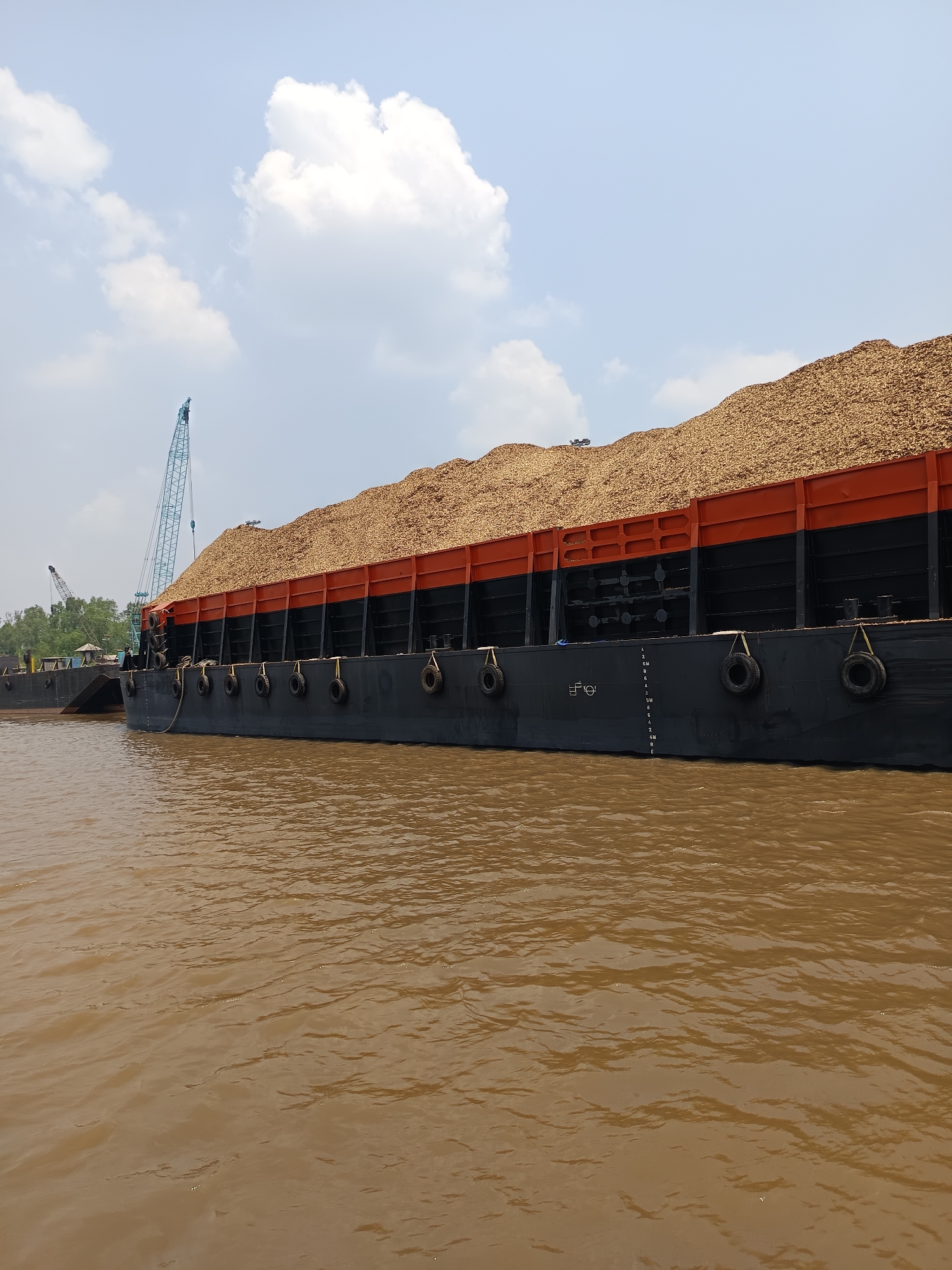 A wide-angle, eye-level shot captures a large barge loaded with what appears to be woodchips or similar material, docked on a body of brown, murky water. The barge is predominantly black with a bright orange band running along its upper edge, supporting the massive cargo. Several black tires are attached to the side of the barge as fenders. In the background, a blue construction crane is visible, suggesting ongoing loading or unloading operations. The sky is bright blue with scattered white clouds. The scene is set near Pinang Sebatang, Indonesia, indicated by the context provided, though no specific landmarks are identifiable within the frame itself. The overall impression is one of industrial activity and river transportation.