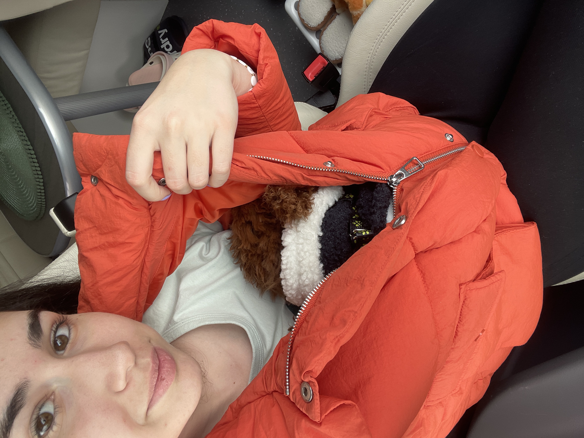 The image shows a person in what appears to be a car. The person is holding open an orange puffy jacket, revealing a small, fluffy, brown-and-white dog wearing a collar inside. The person has brown hair and eyes, and is wearing a light-colored shirt. The car seat is visible. The image does not provide information on the location in the city of Krivina, Bulgaria.