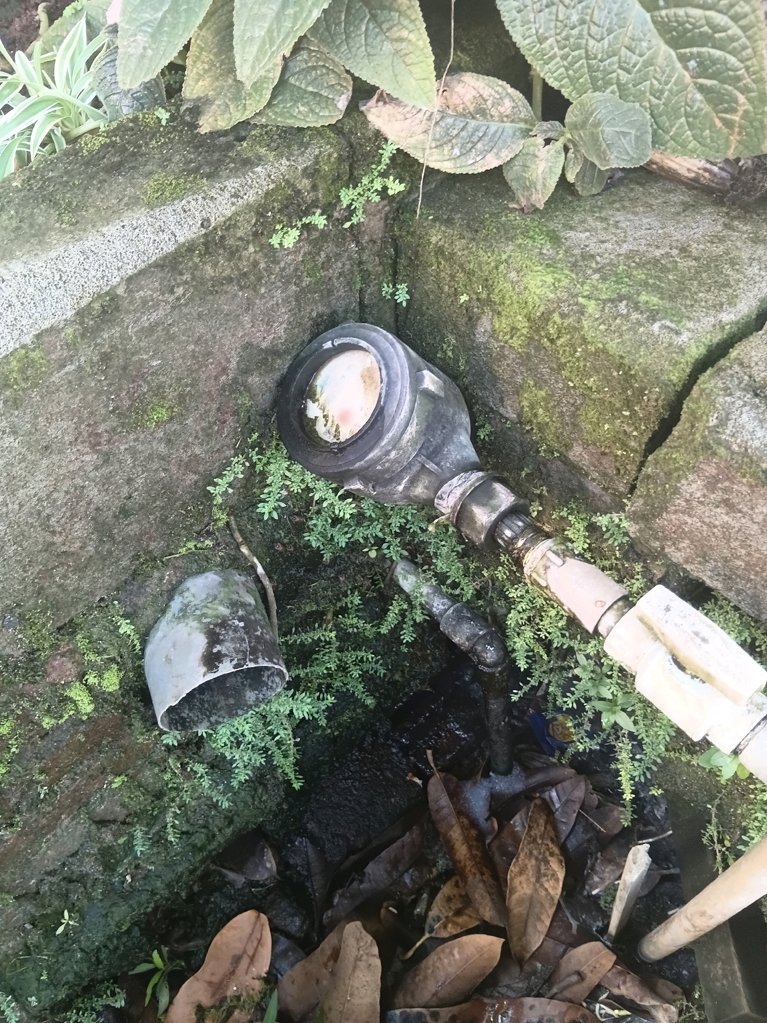 An overhead view captures a corner of a garden in Cikal, Indonesia, where a broken water meter lies amidst moss-covered stones and dense green foliage. The meter, a metallic grey device with a glass face, appears to have been forcibly detached from its connection. A broken pipe, also grey and cylindrical, lies on its side near the meter. The surrounding environment is characterized by damp, dark soil, fallen brown leaves, and vibrant green moss clinging to the rough texture of the stones. The light suggests an overcast day, with diffused illumination casting soft shadows. No individuals are present in the scene, and there are no immediate indications of recent activity beyond the evident damage to the water meter.